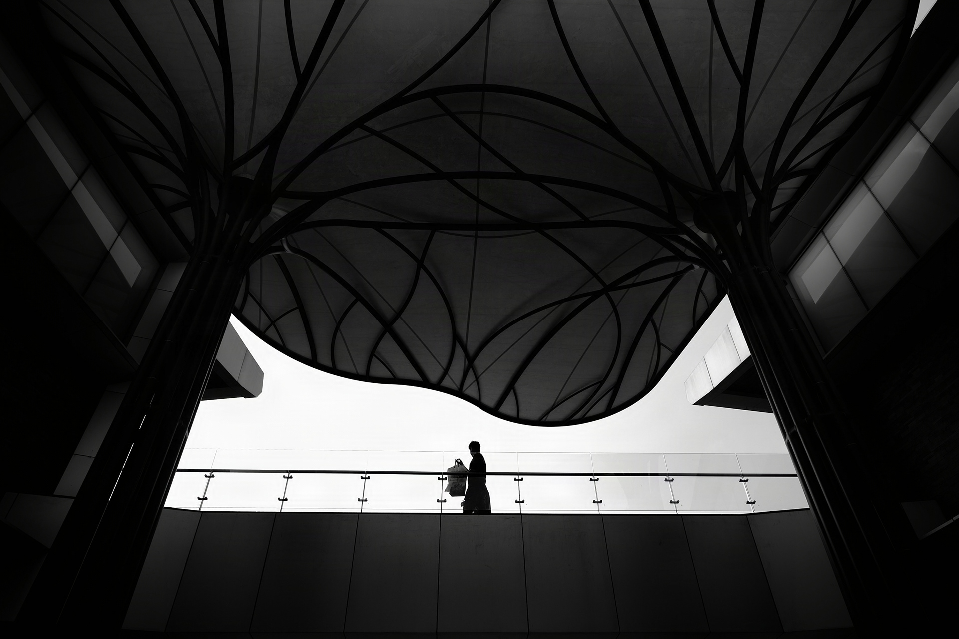 Under the Canopy