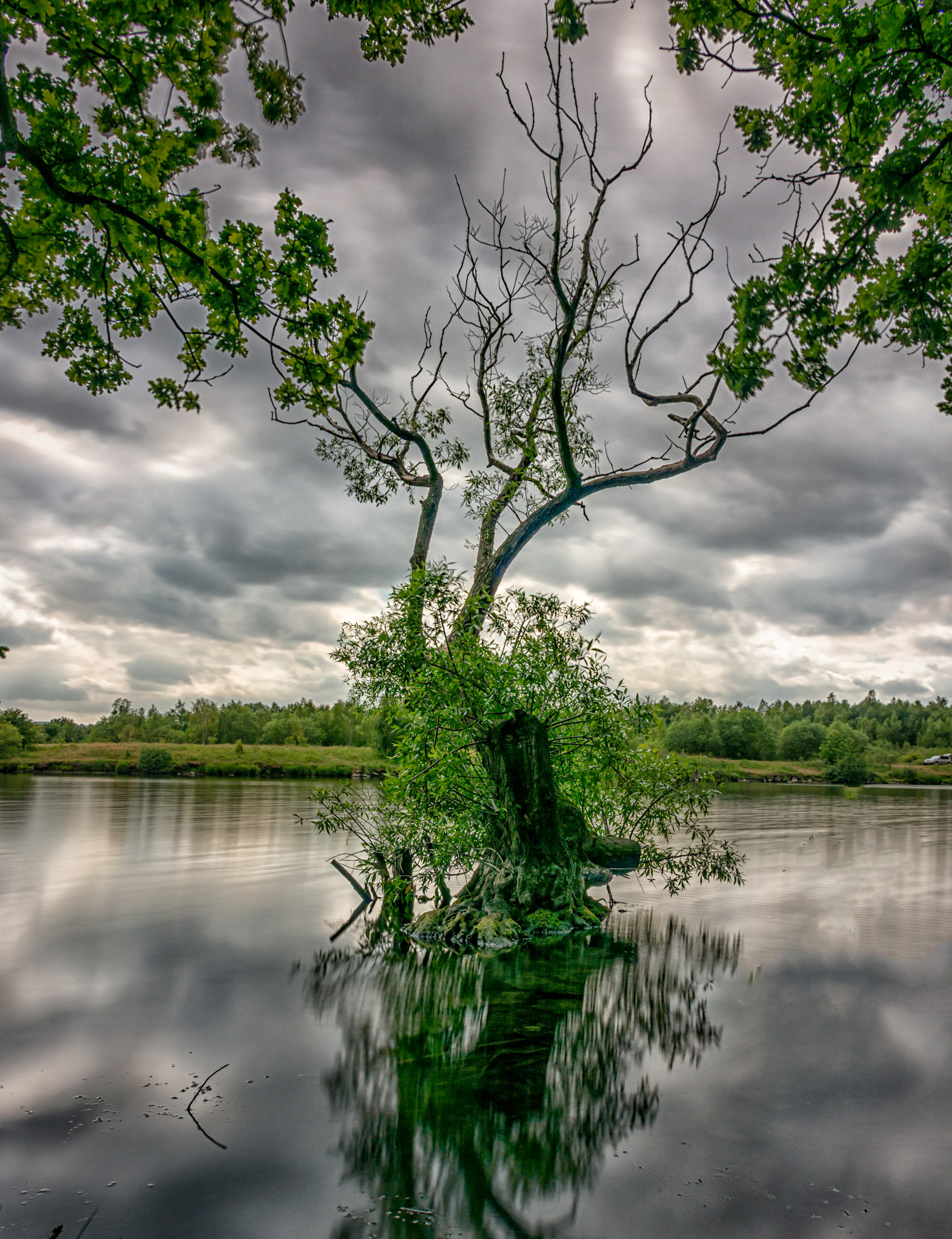 Treeton Dyke