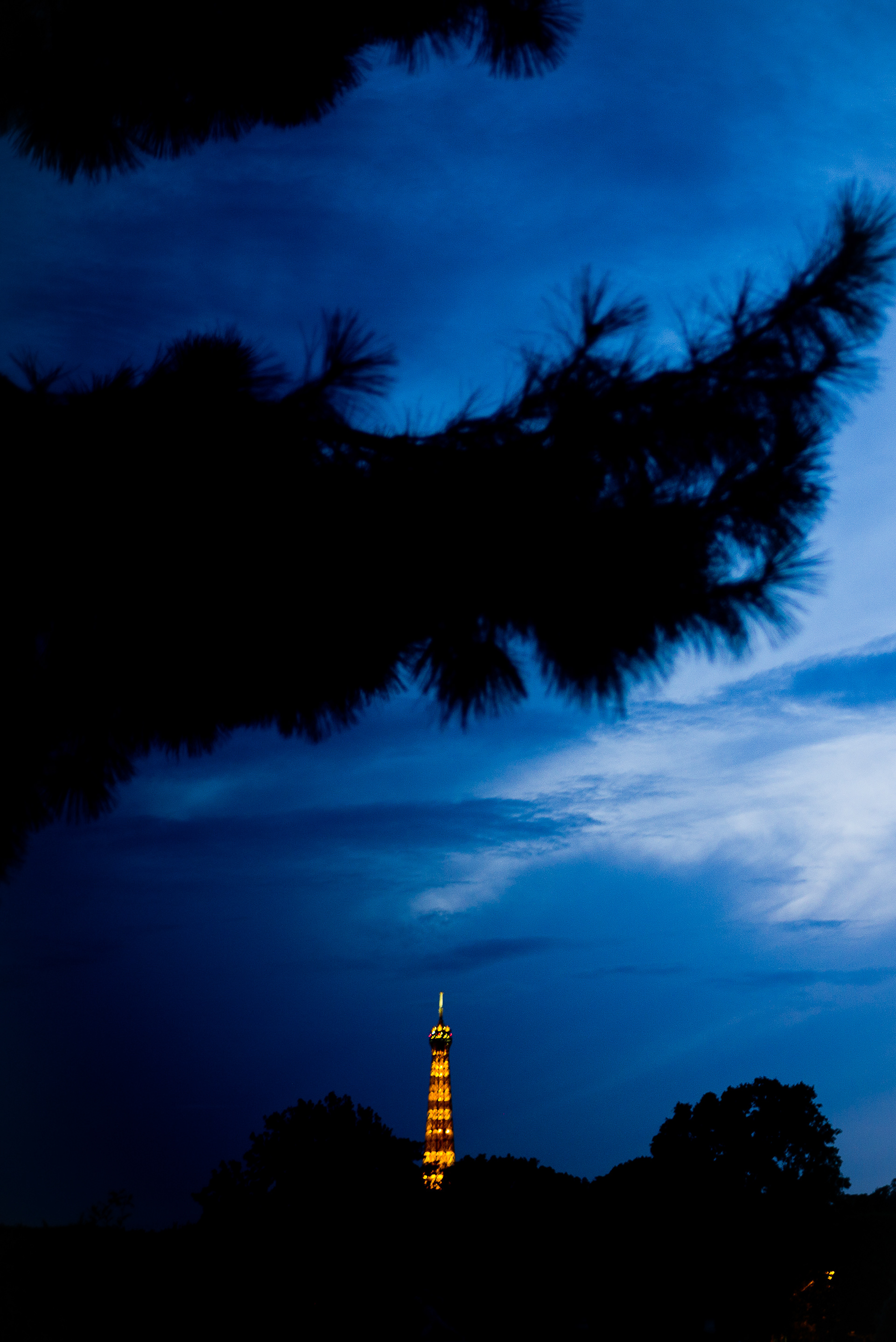 E. la nuit