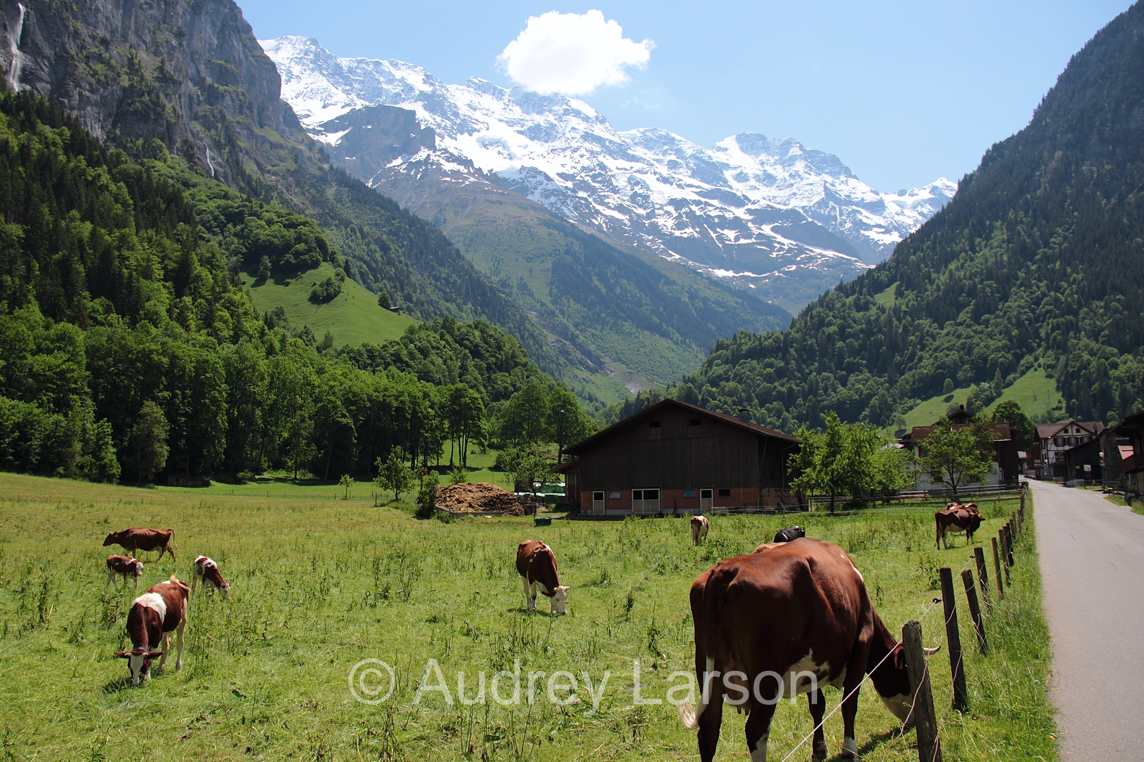 Grindelwald, Switzerland