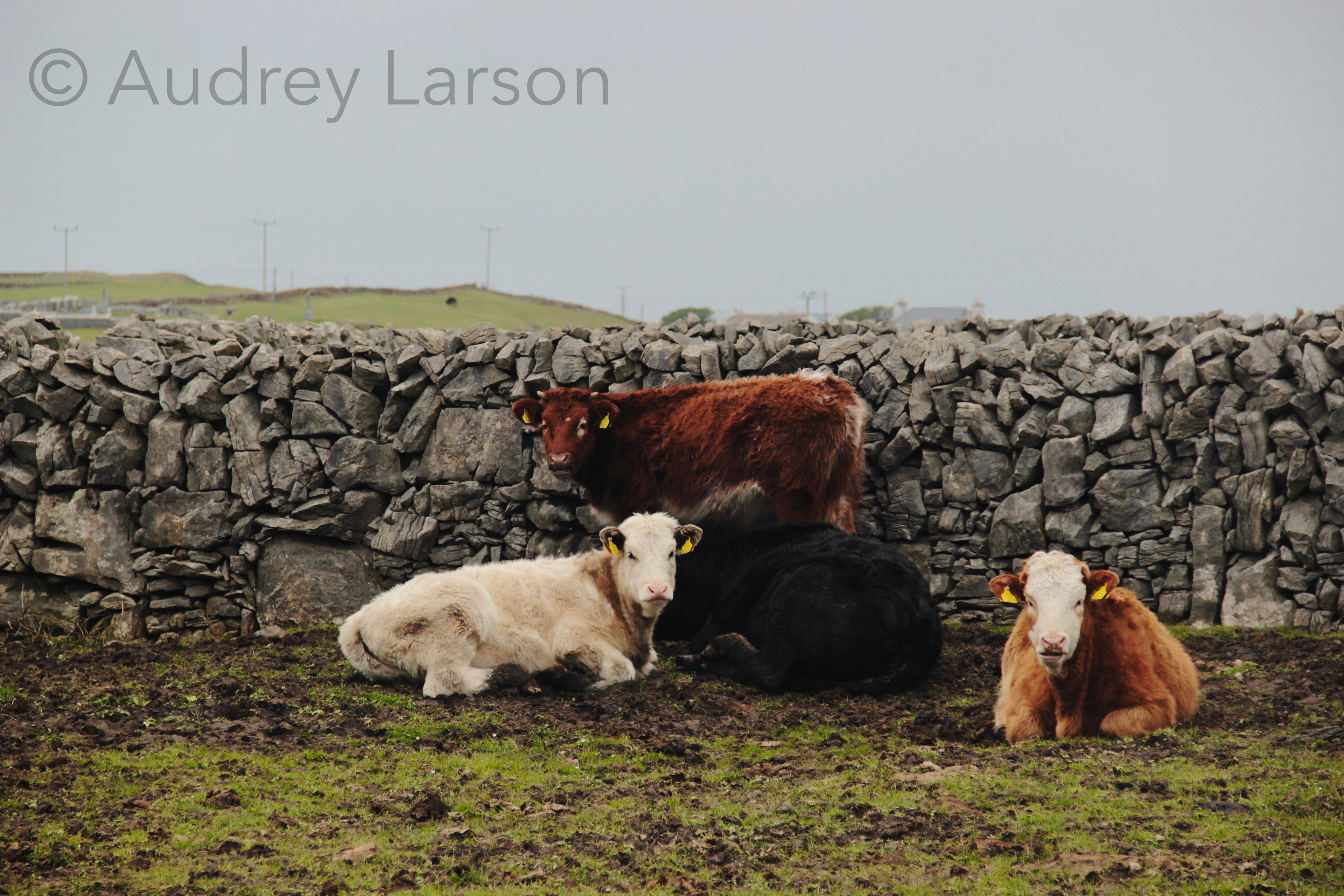 Inishmore Island, Ireland