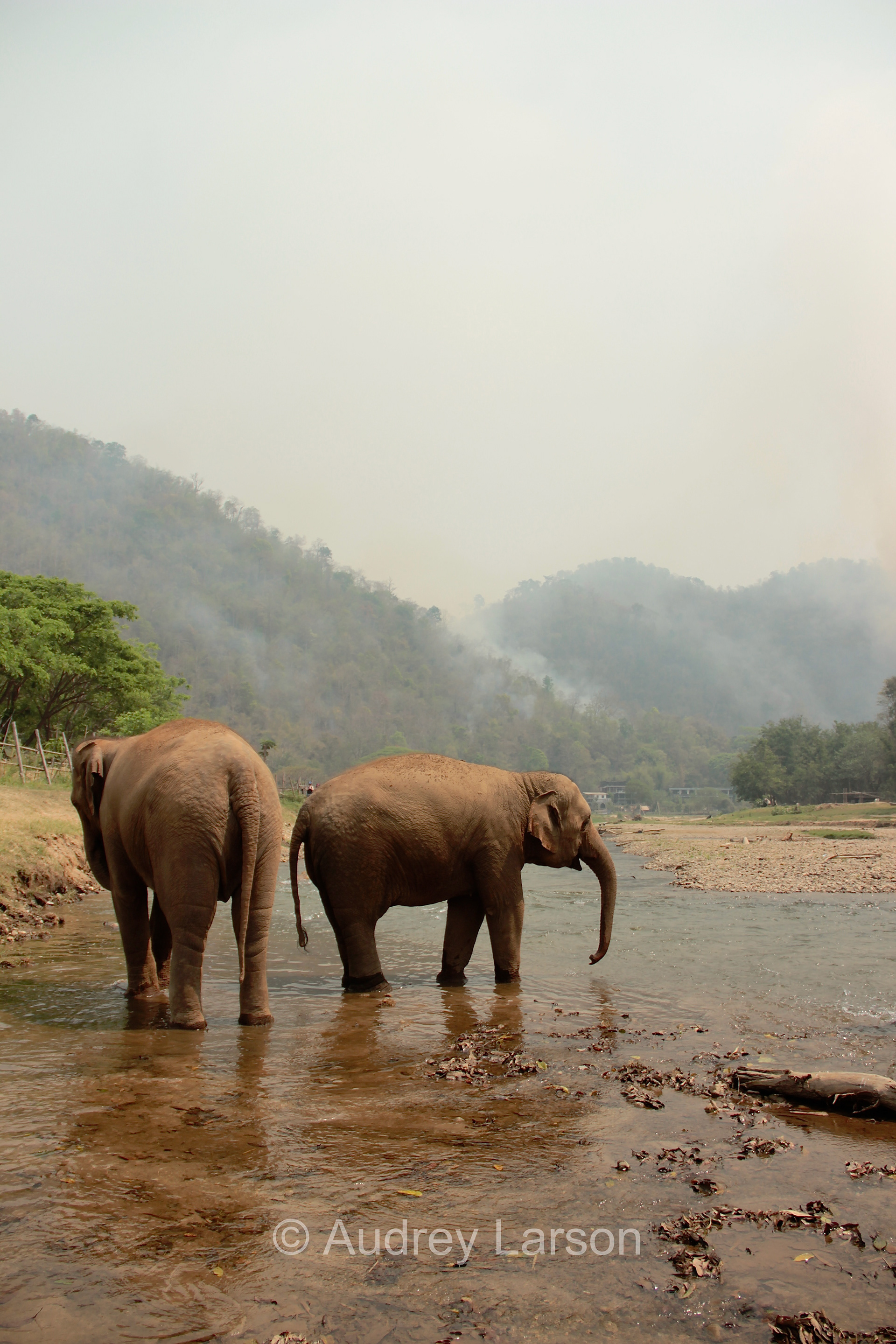 Chiang Mai, Thailand