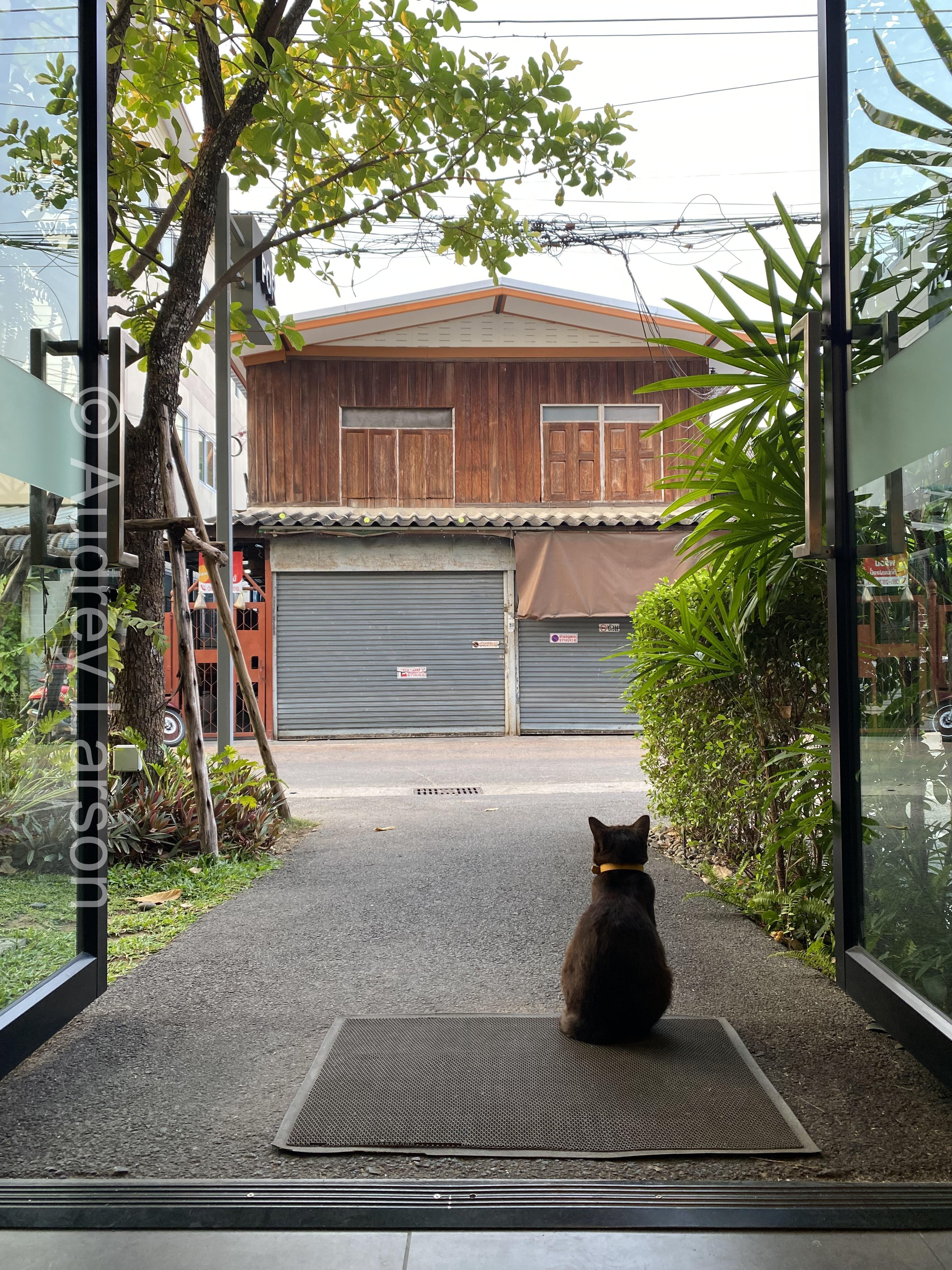 Chiang Mai, Thailand