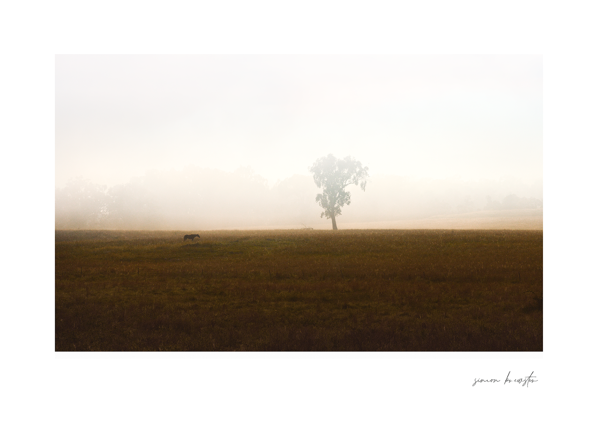 © simon brewster 2026