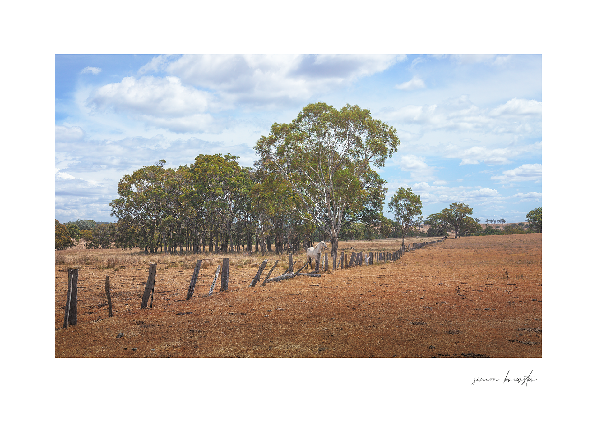 © simon brewster 2025