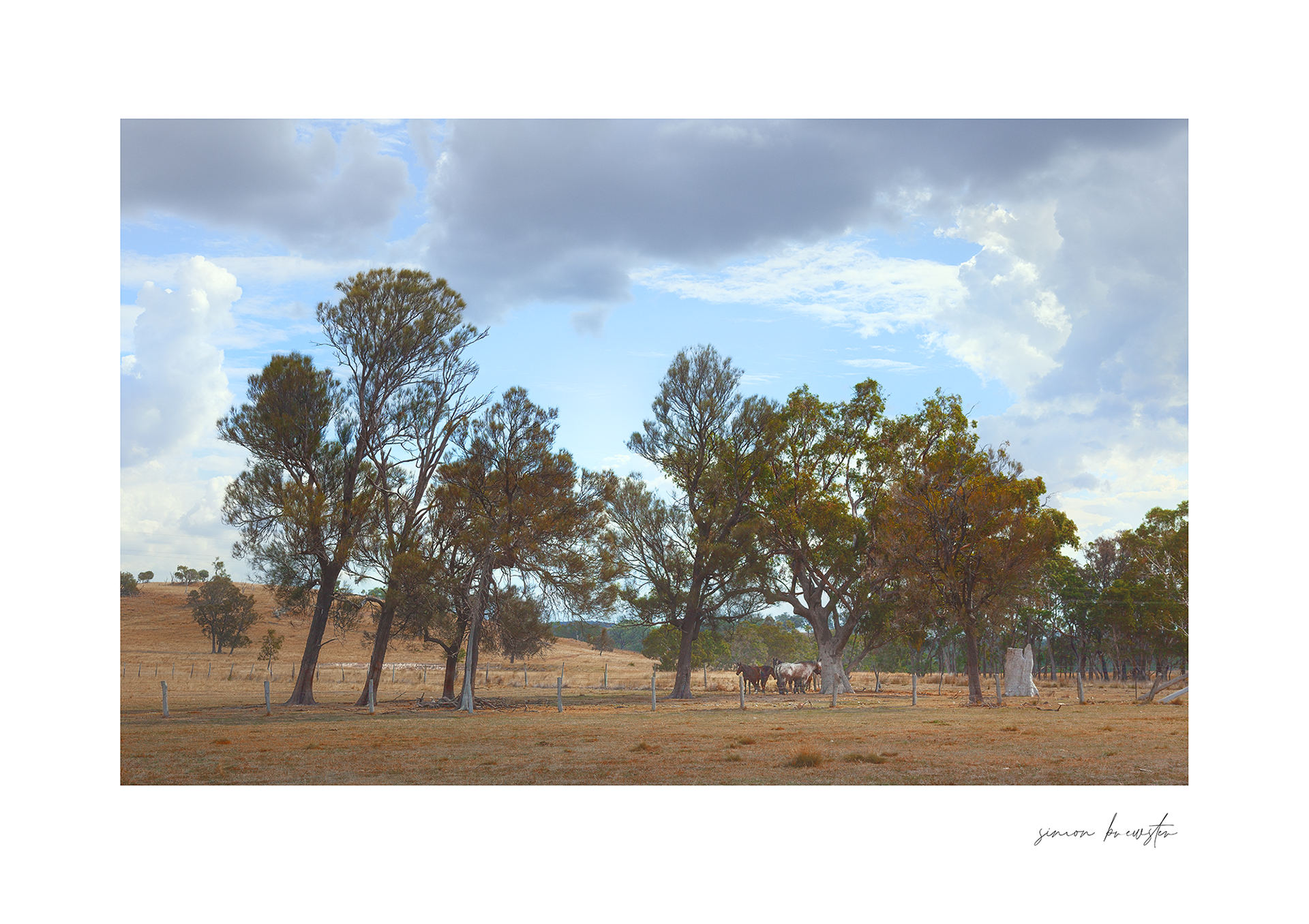 © simon brewster 2025