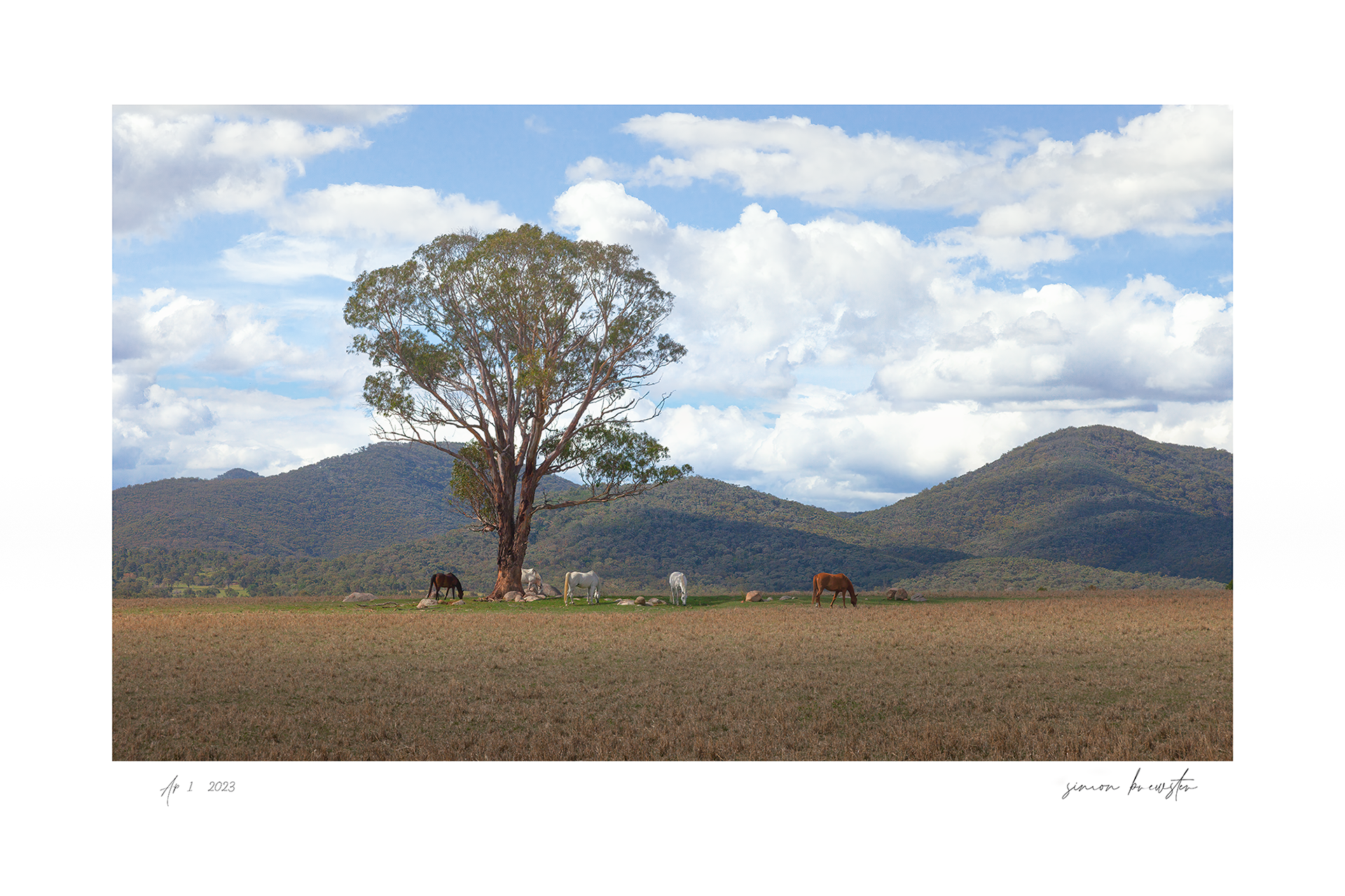 © simon brewster 2025