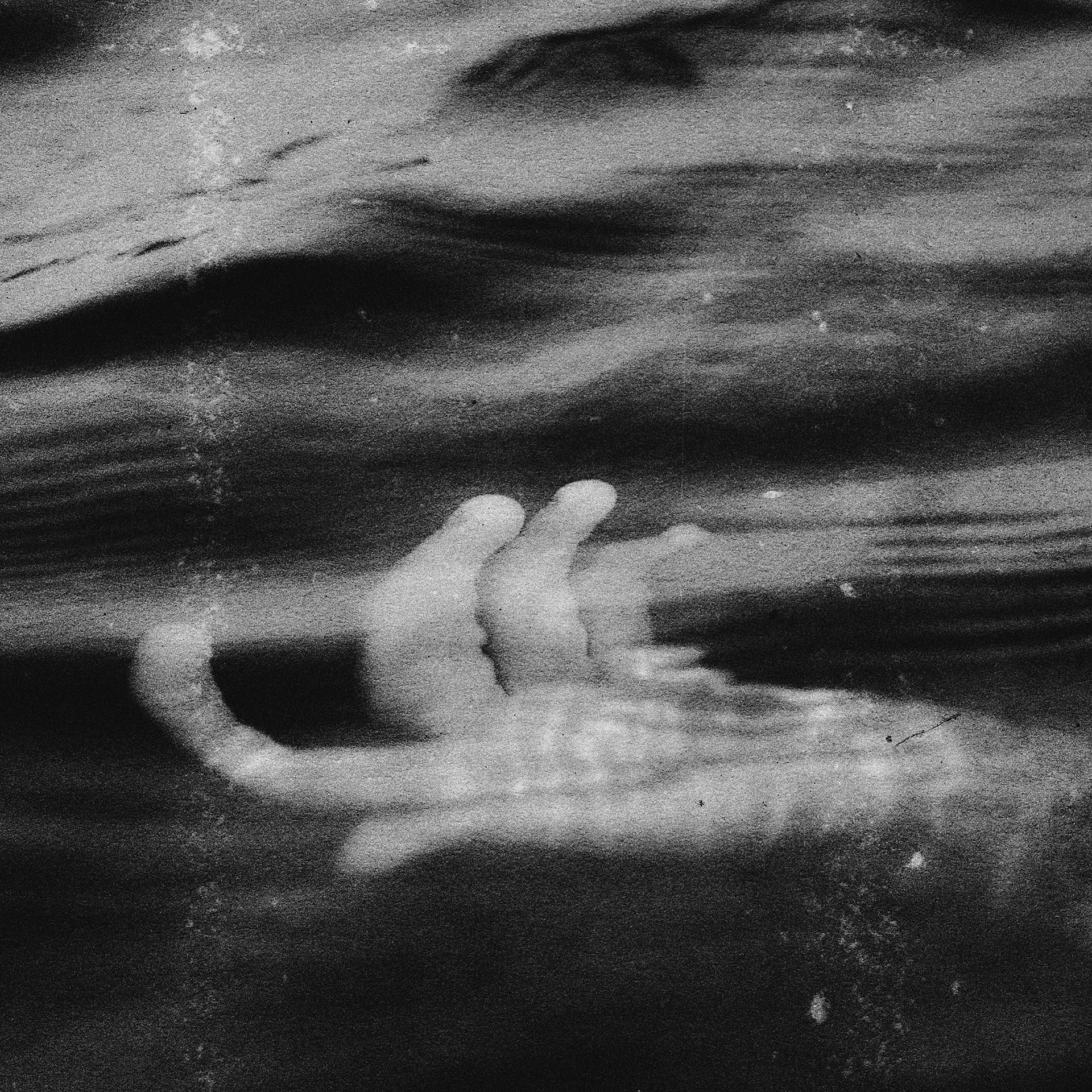 © simon brewster 2023