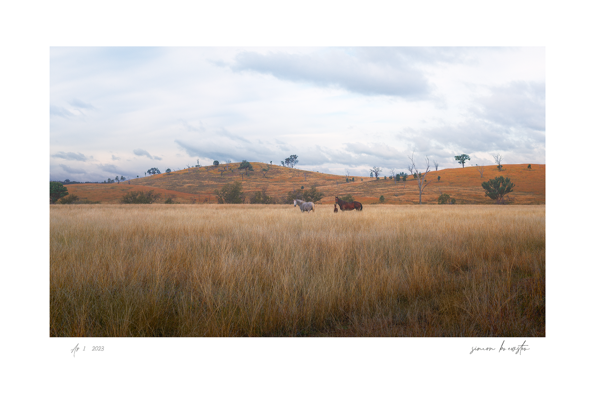 © simon brewster 2025