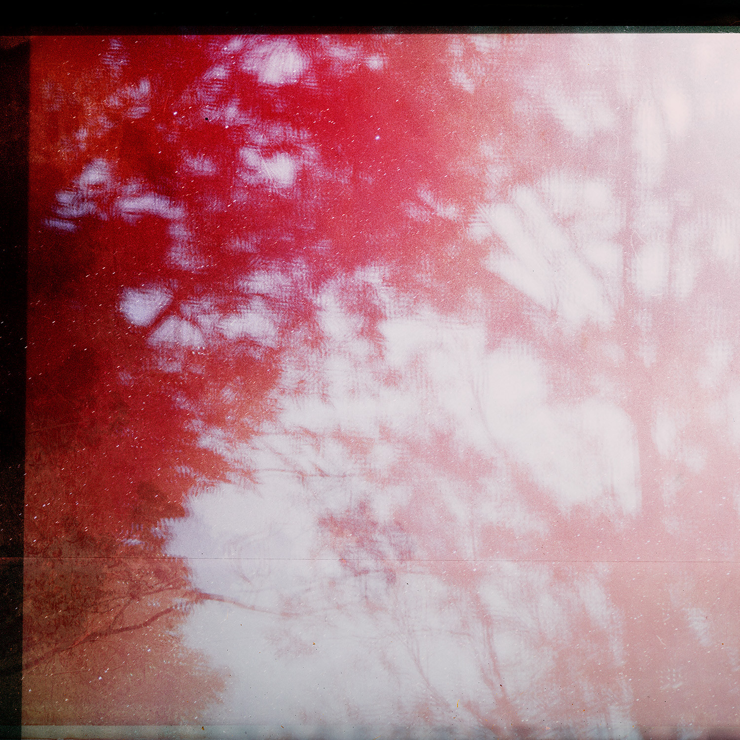 © simon brewster 2021