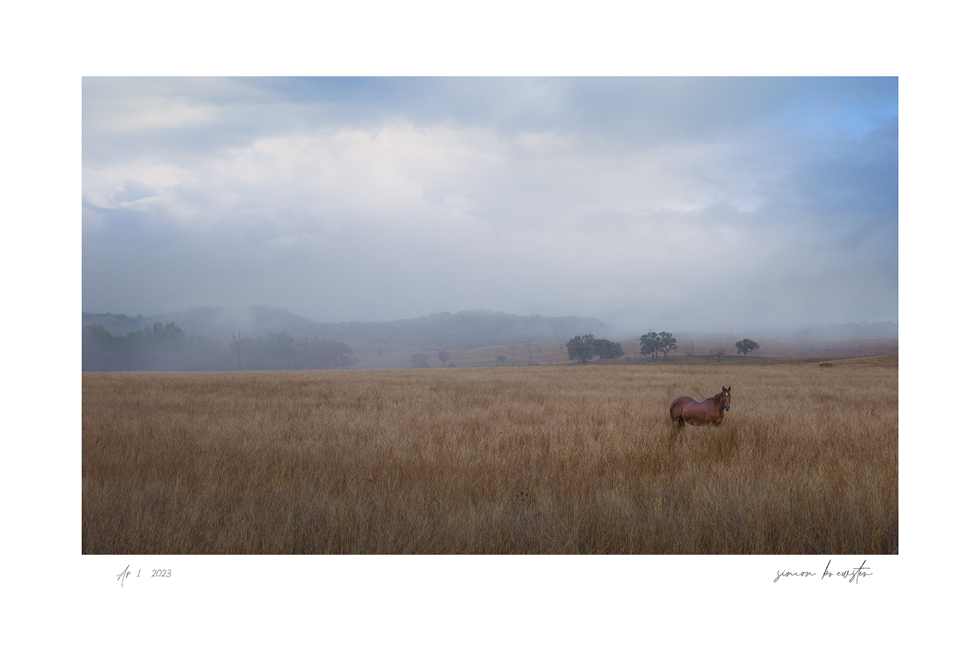 © simon brewster 2025