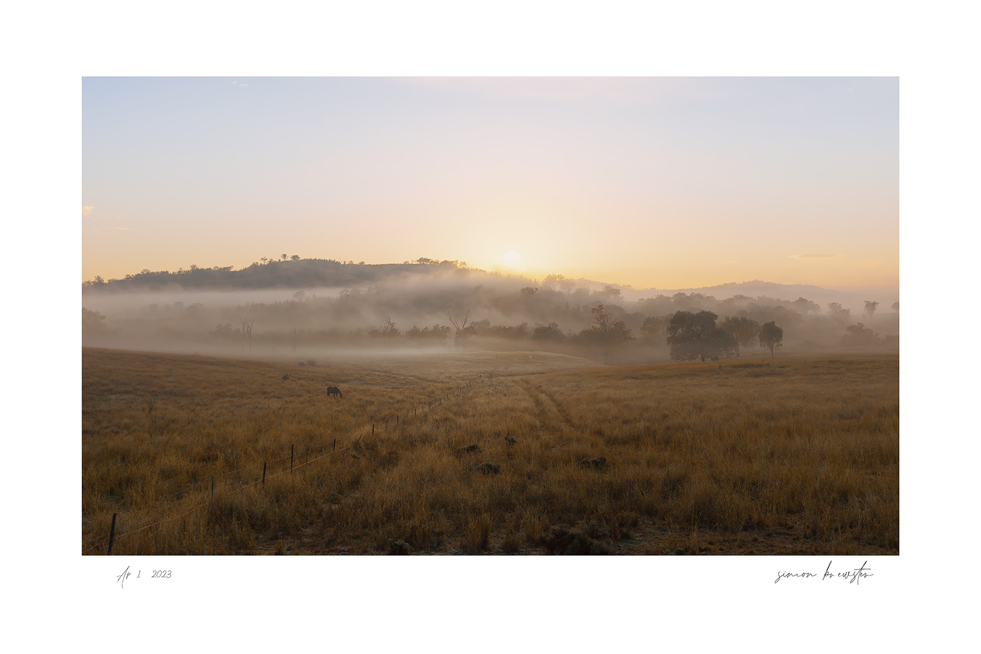 © simon brewster 2025