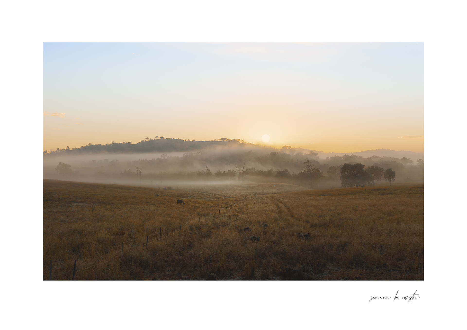 © simon brewster 2025