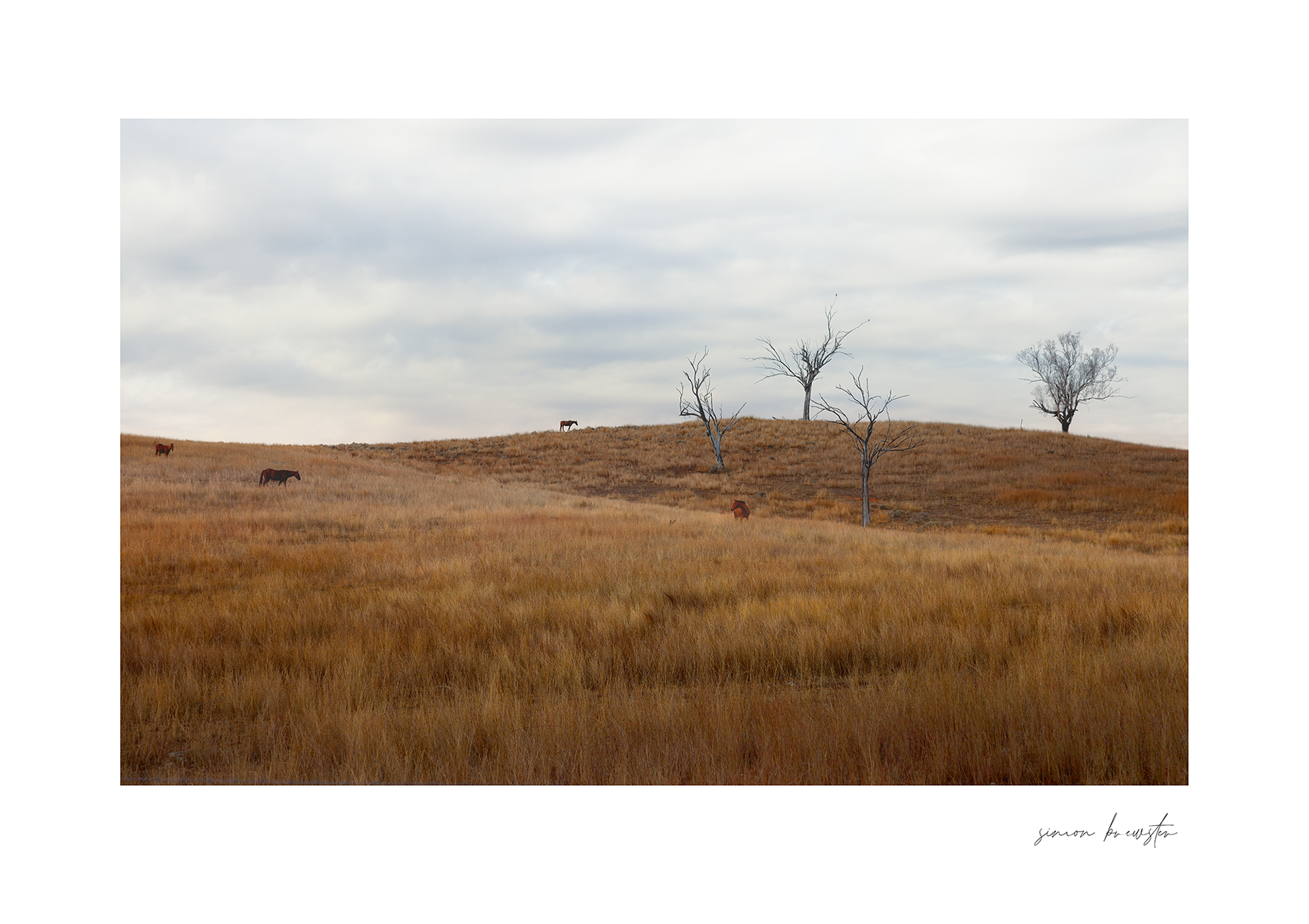 © simon brewster 2026