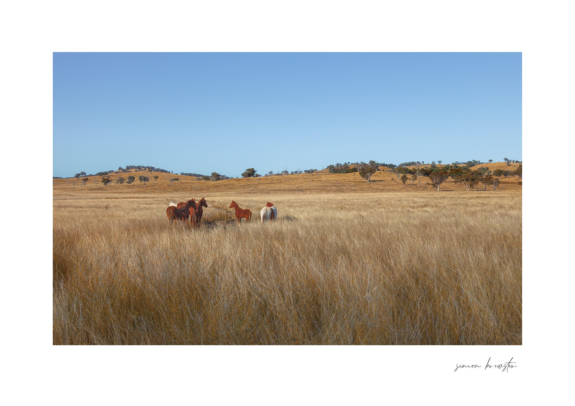 © simon brewster 2025