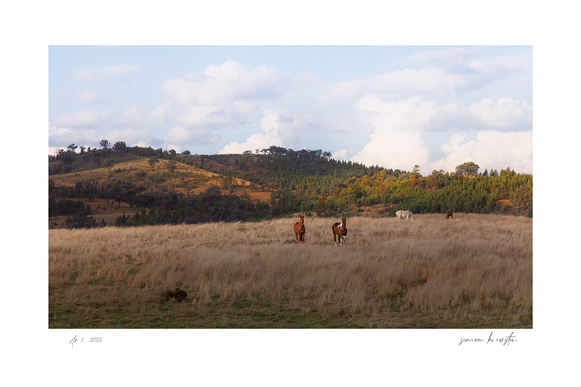 © simon brewster 2025