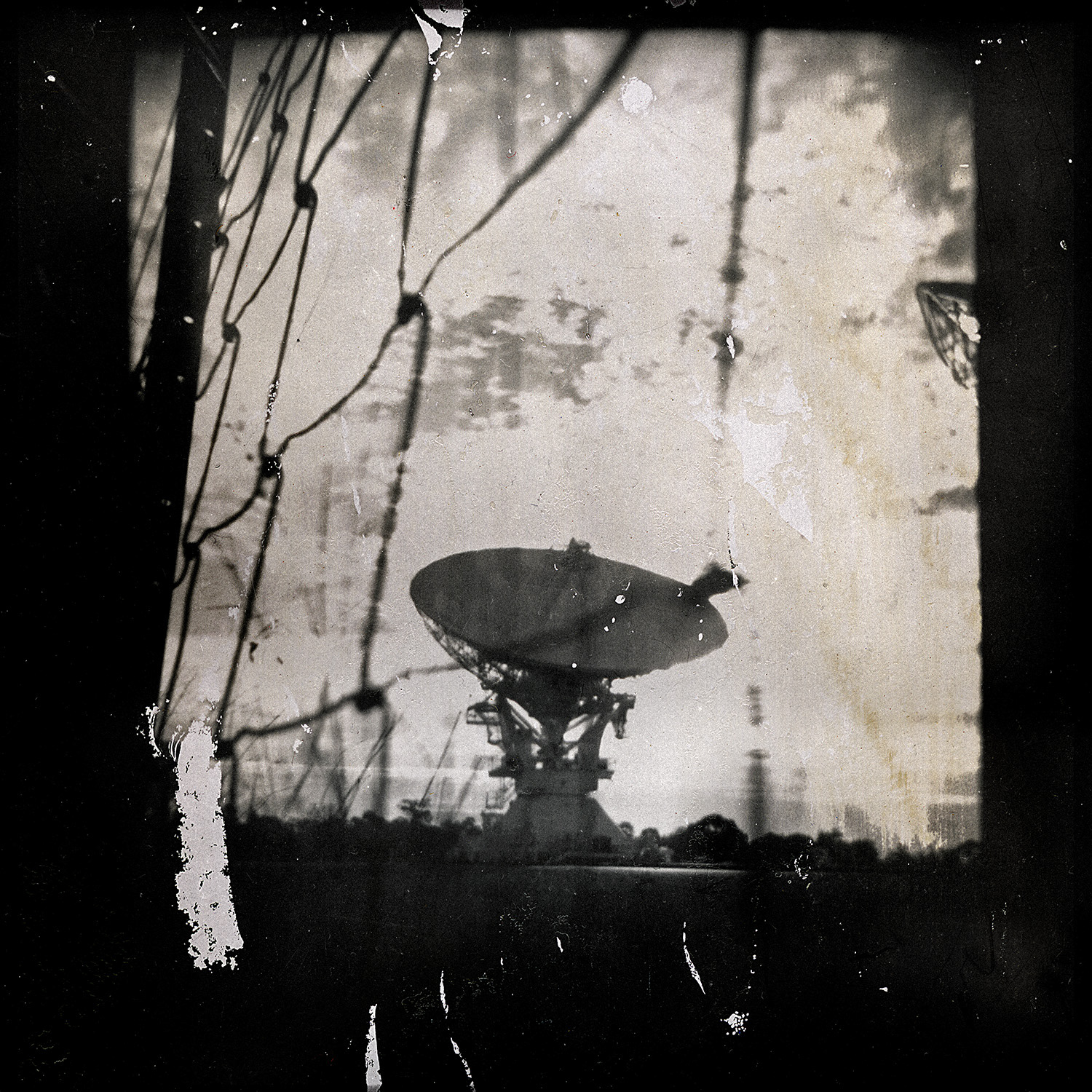 © simon brewster 2020