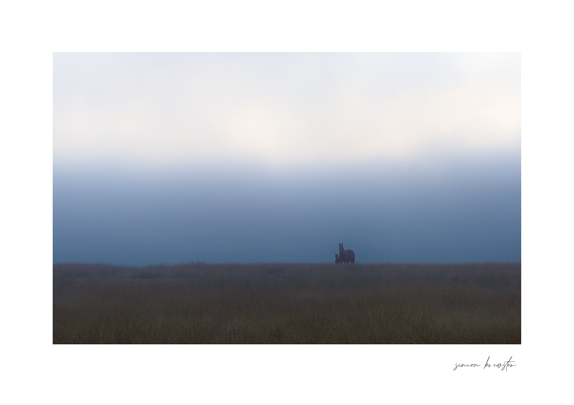 © simon brewster 2025