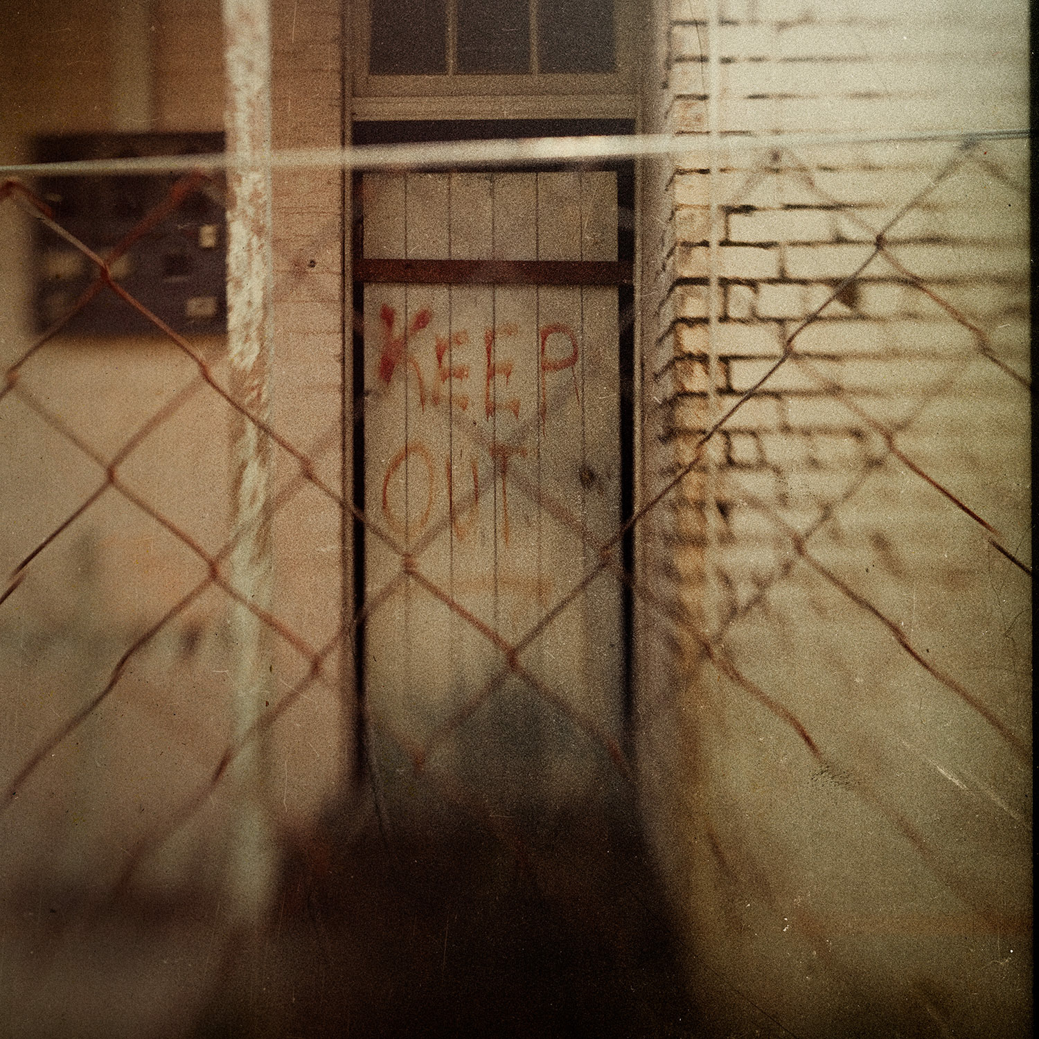© simon brewster 2021