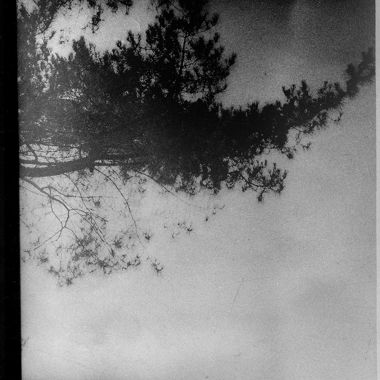 © simon brewster 2021
