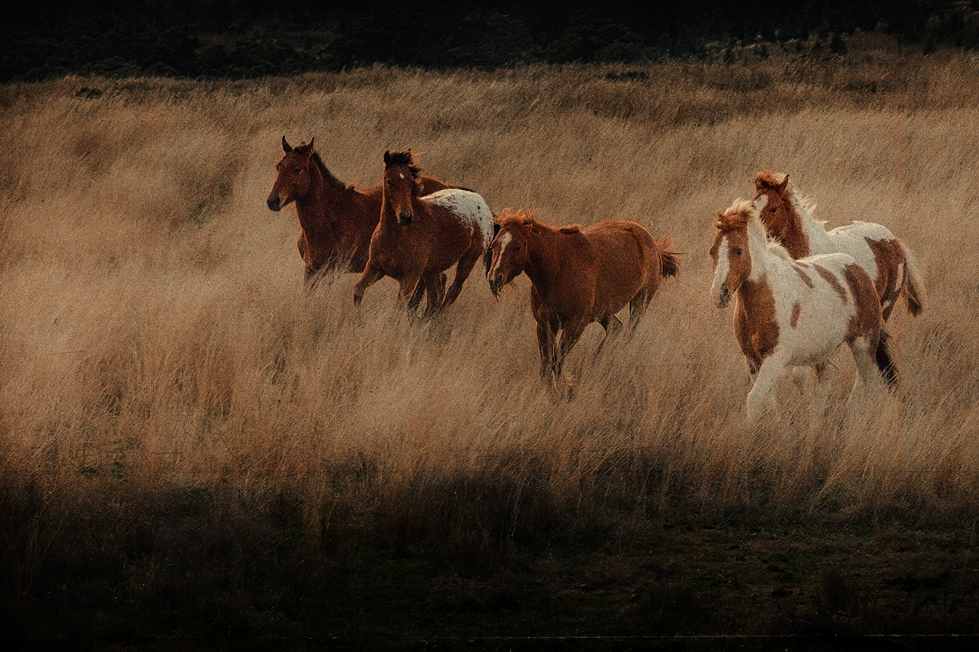 © simon brewster 2023