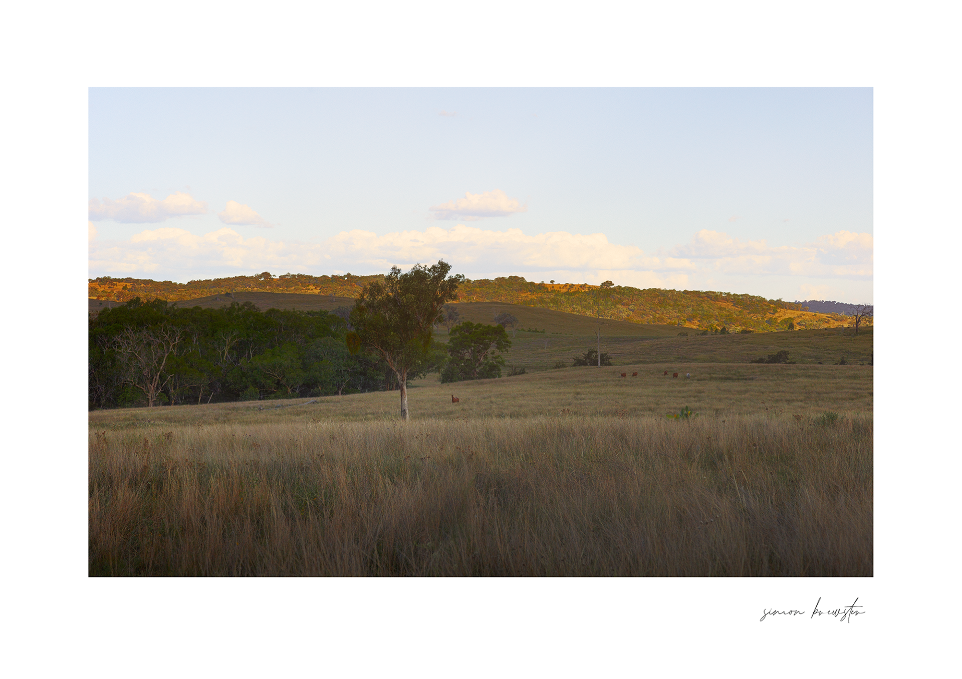 © simon brewster 2026