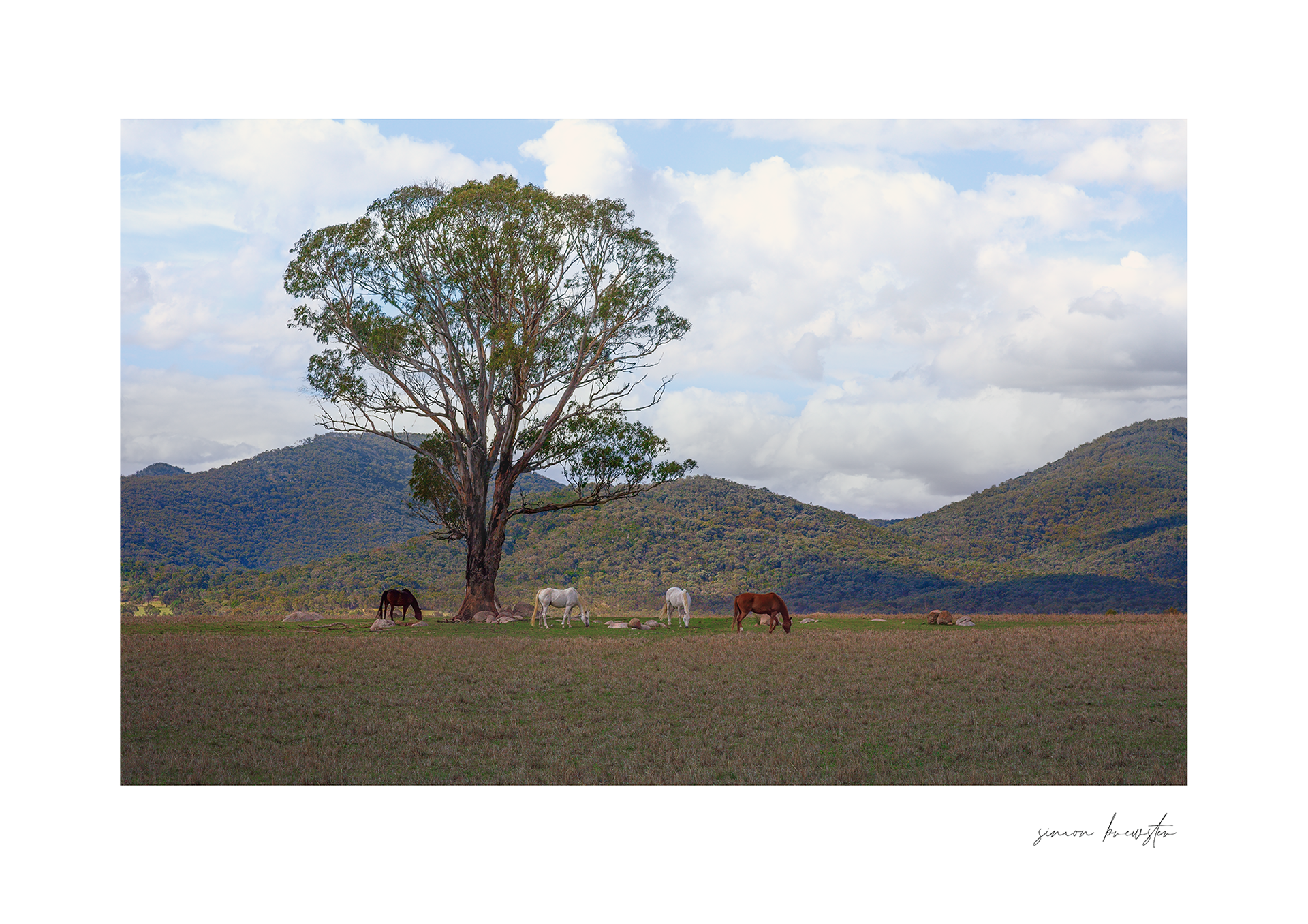 © simon brewster 2025