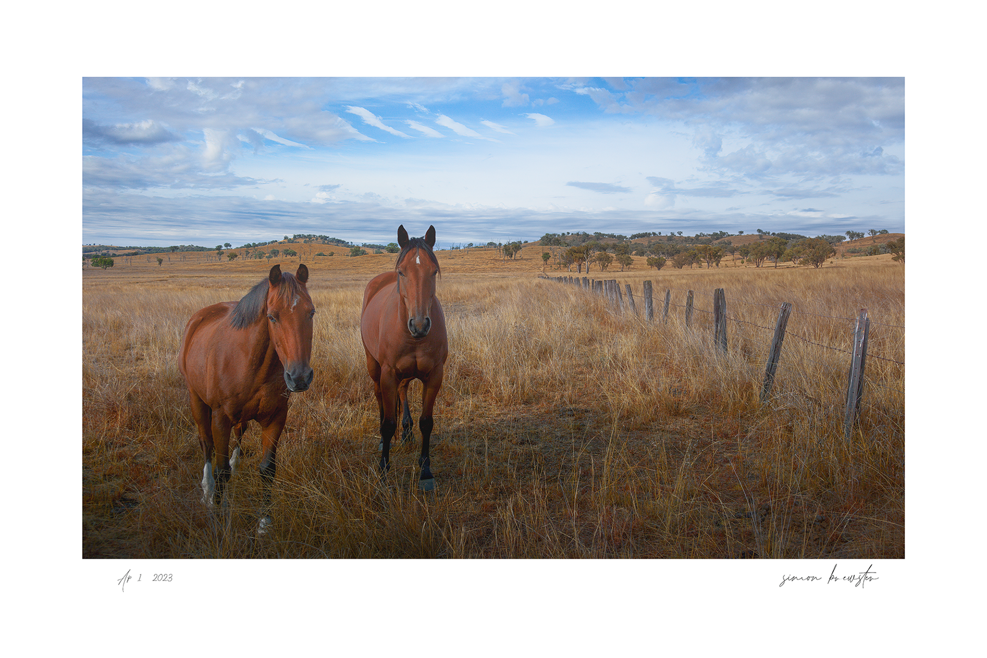 © simon brewster 2025