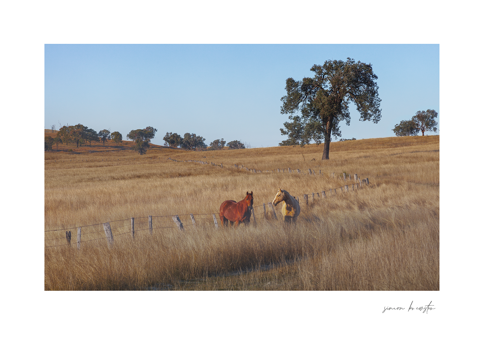 © simon brewster 2025