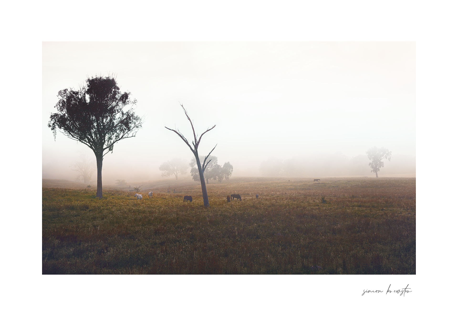 © simon brewster 2026