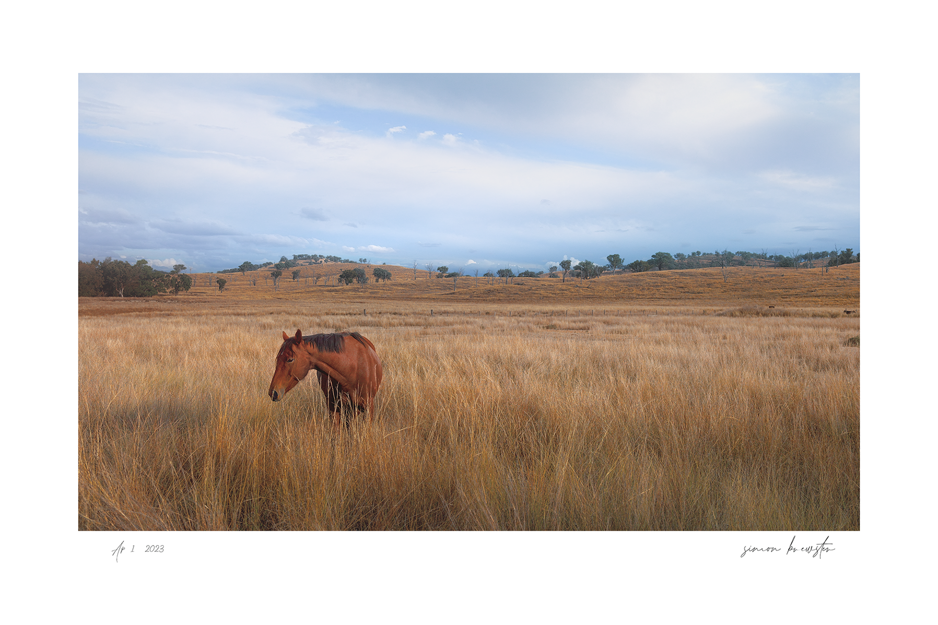 © simon brewster 2025