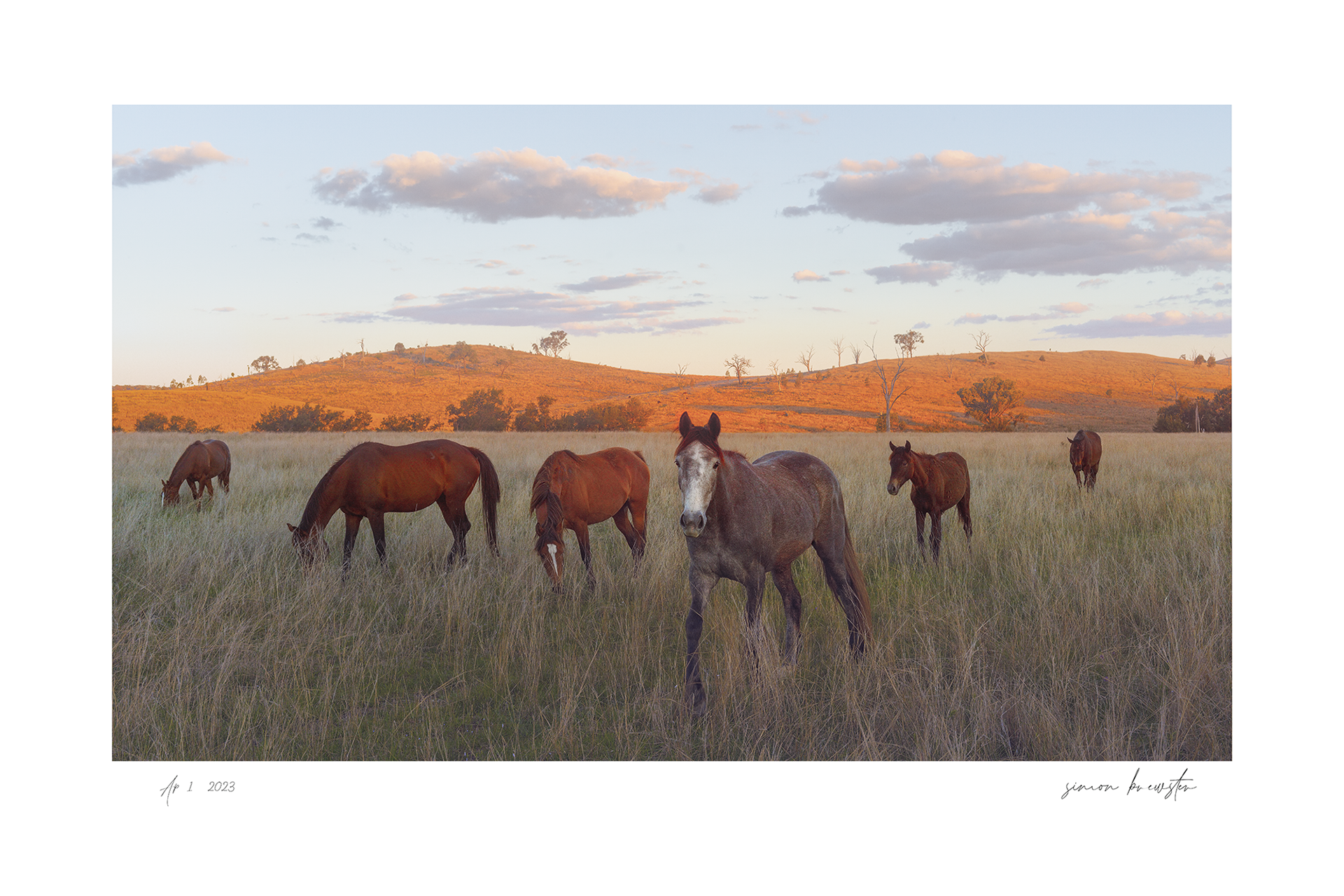 © simon brewster 2025