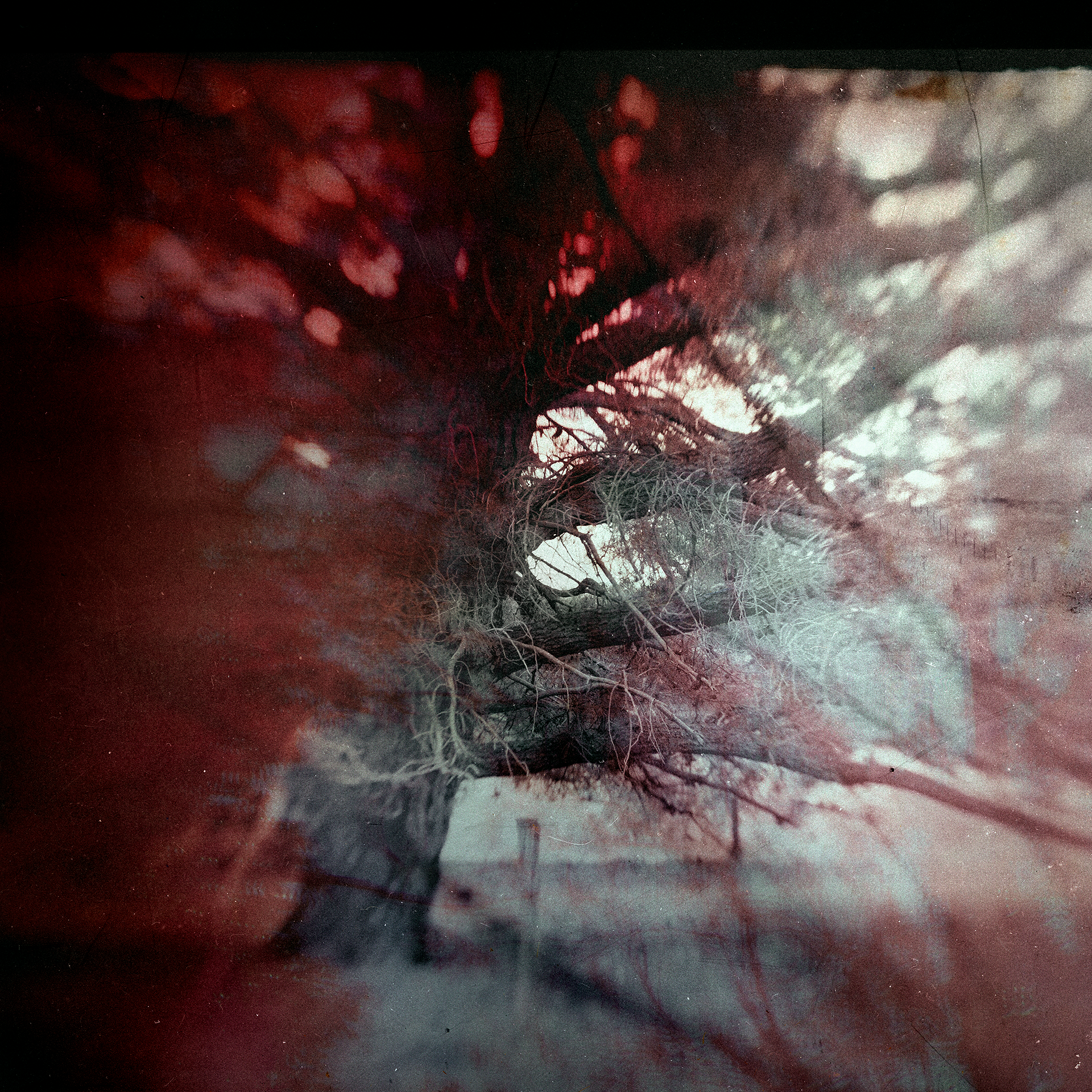 © simon brewster 2023