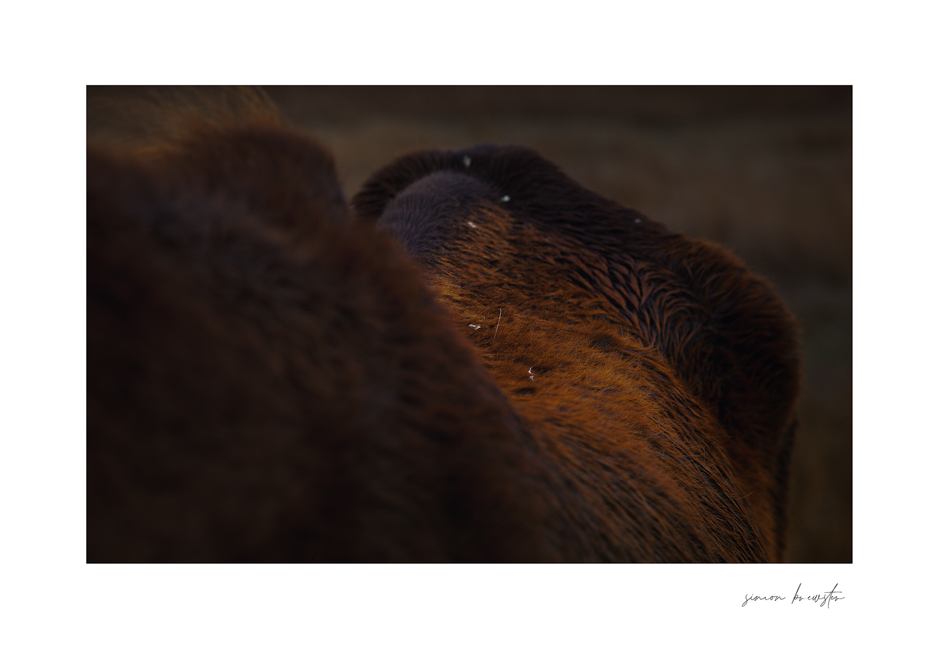 © simon brewster 2025