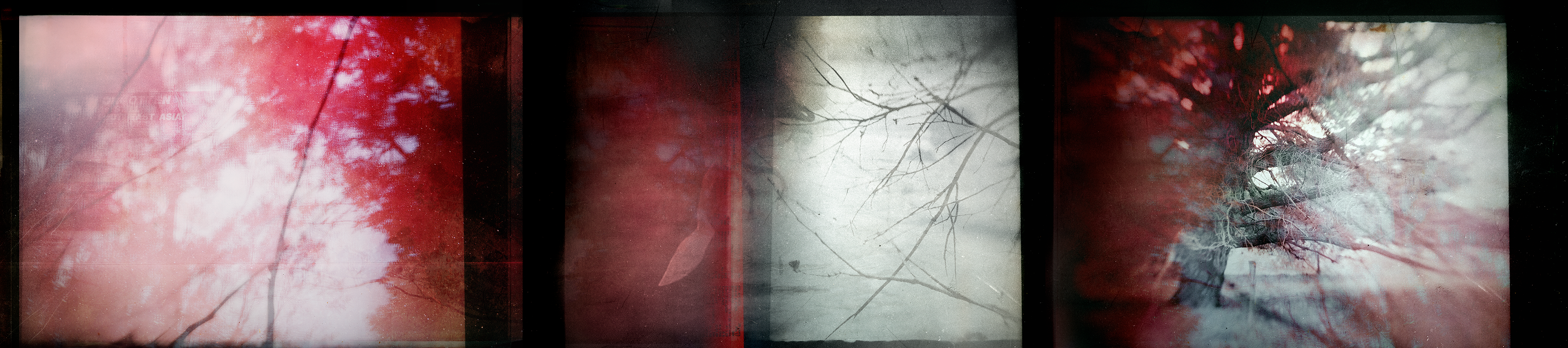 © simon brewster 2023