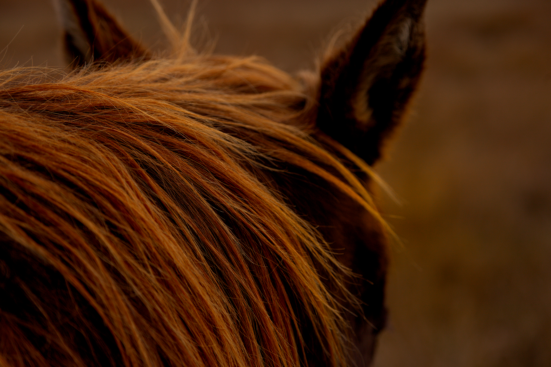 © simon brewster 2026