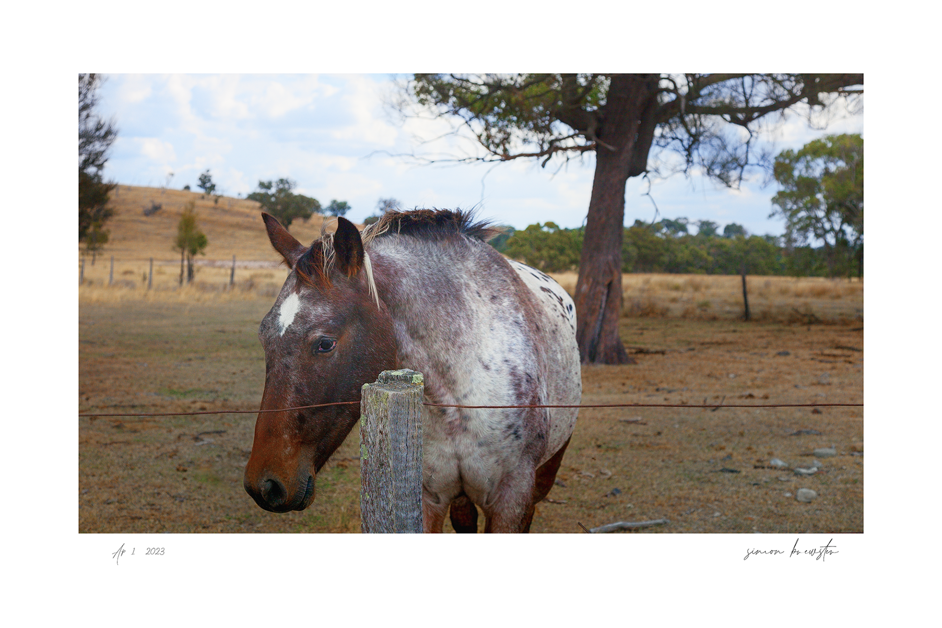 © simon brewster 2025