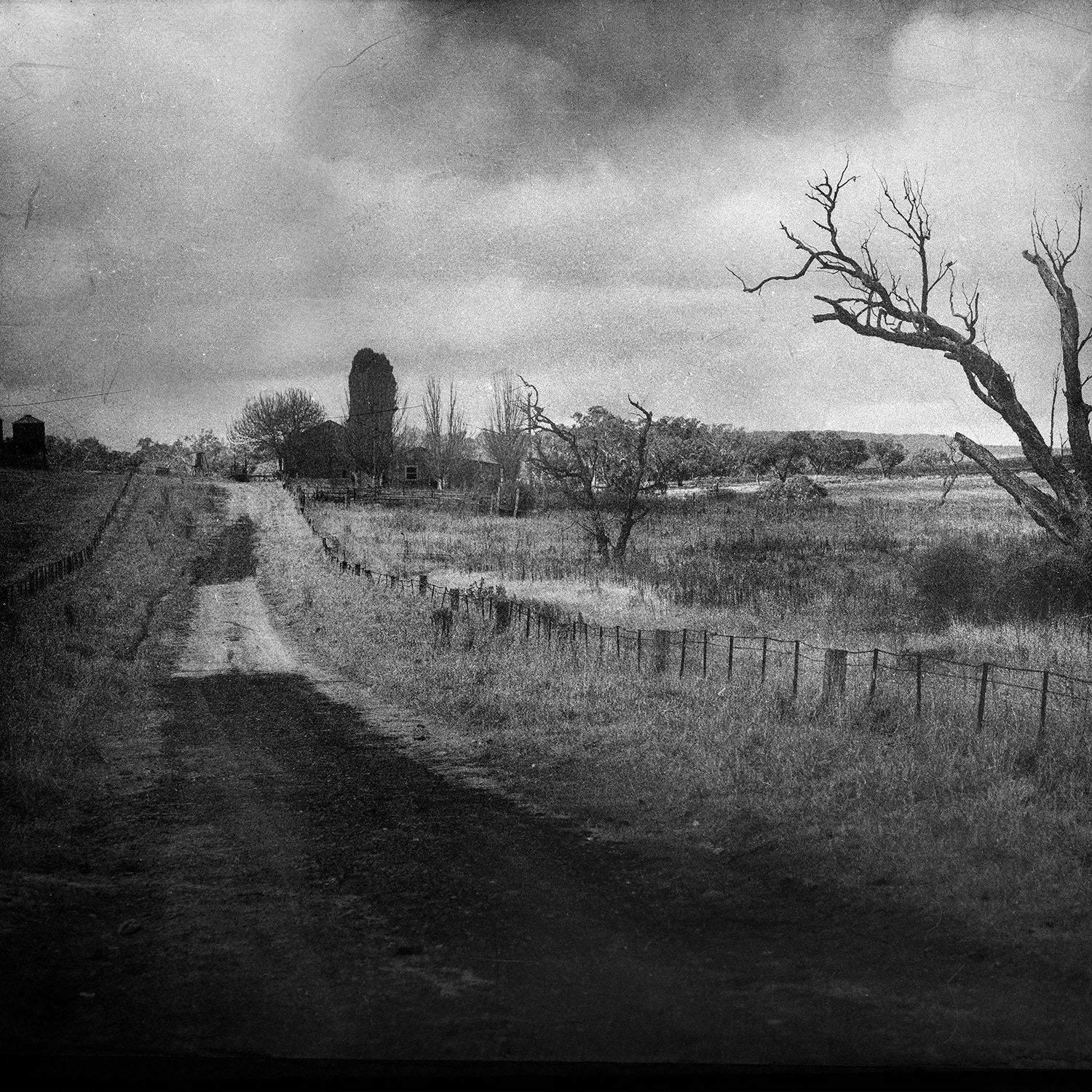 © simon brewster 2021