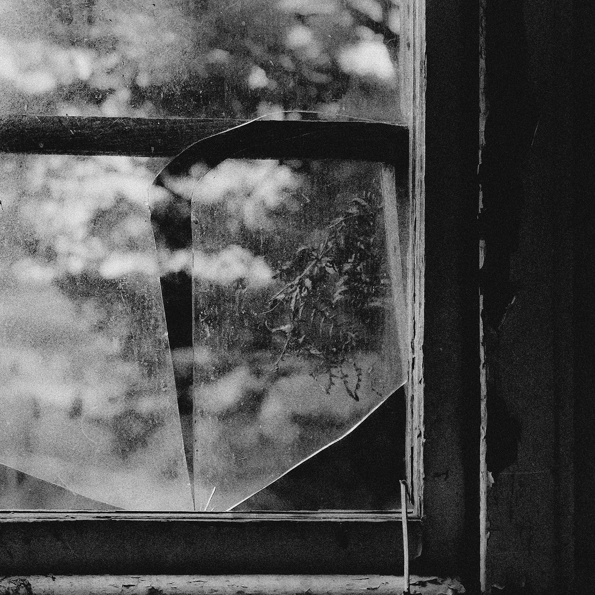 © simon brewster 2026