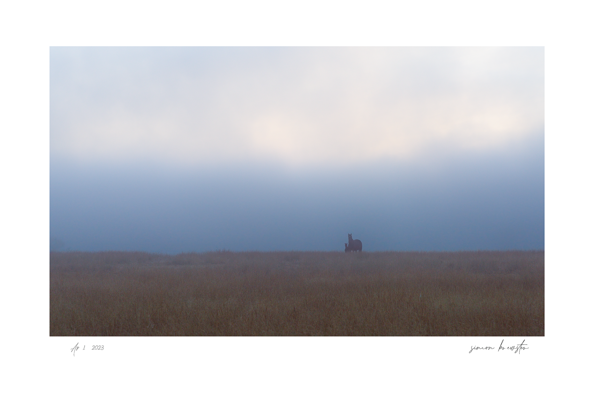 © simon brewster 2025