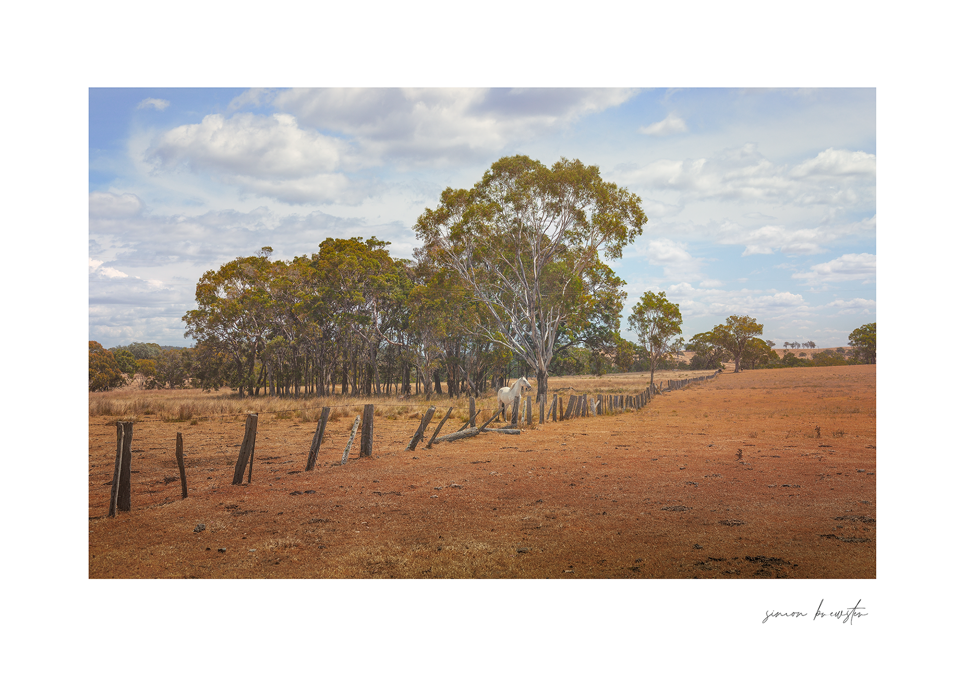 © simon brewster 2026