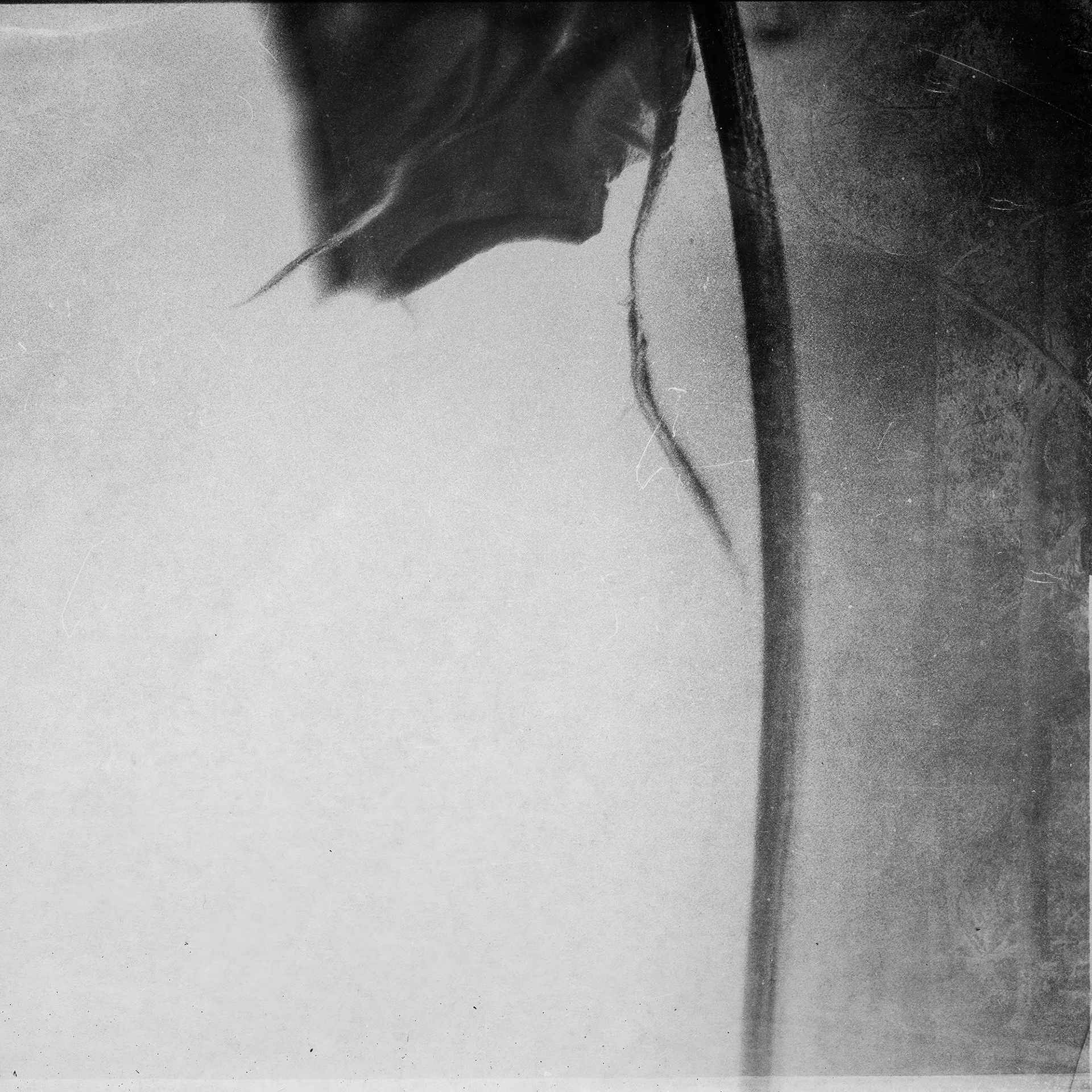 © simon brewster 2024