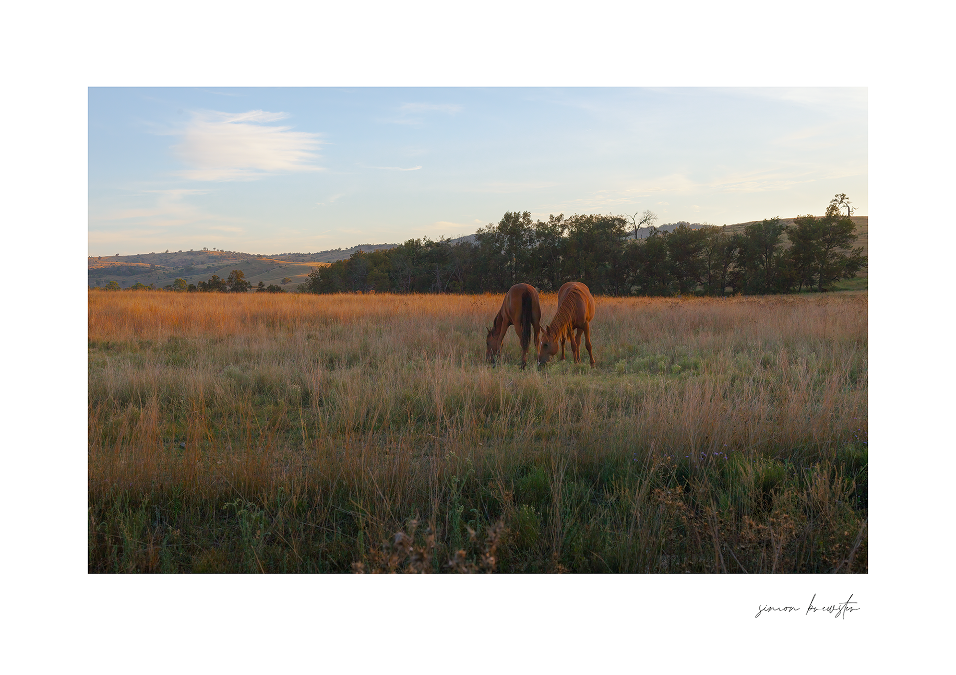 © simon brewster 2025