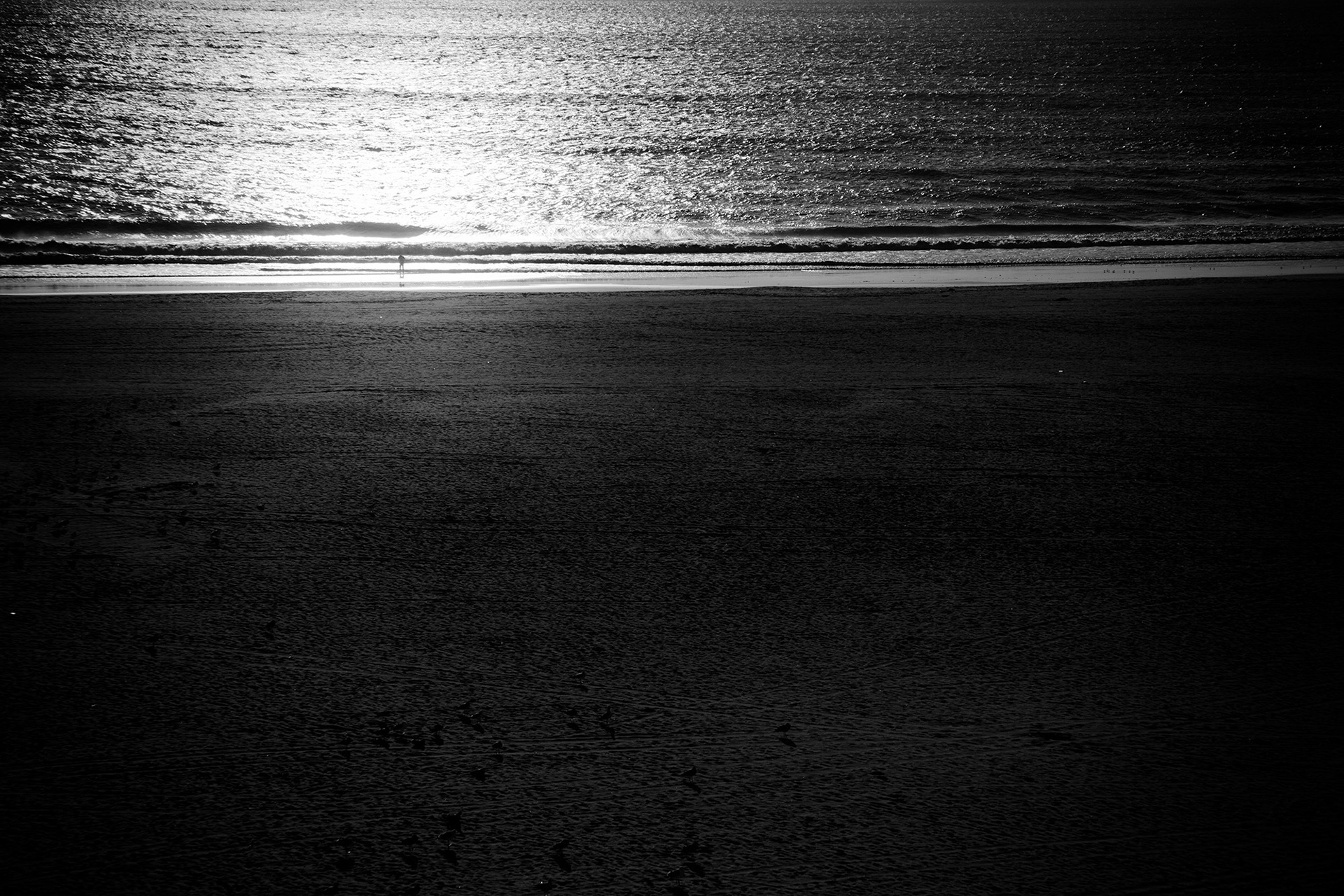 © simon brewster 2021