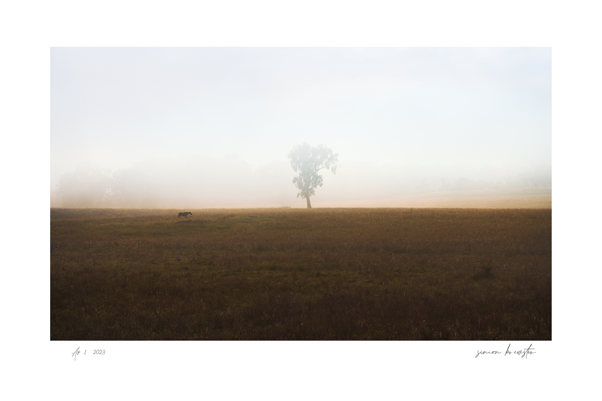 © simon brewster 2025