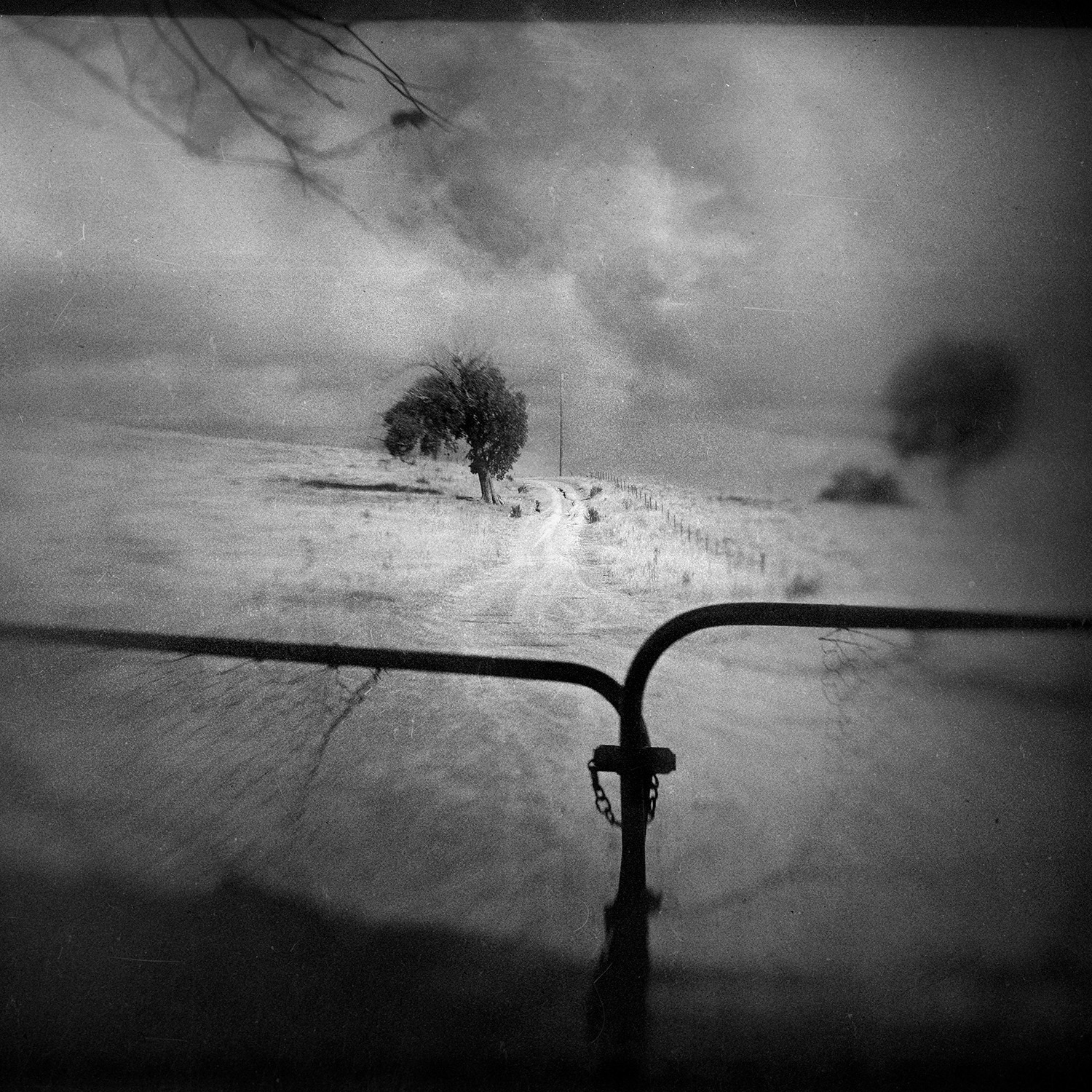 © simon brewster 2021