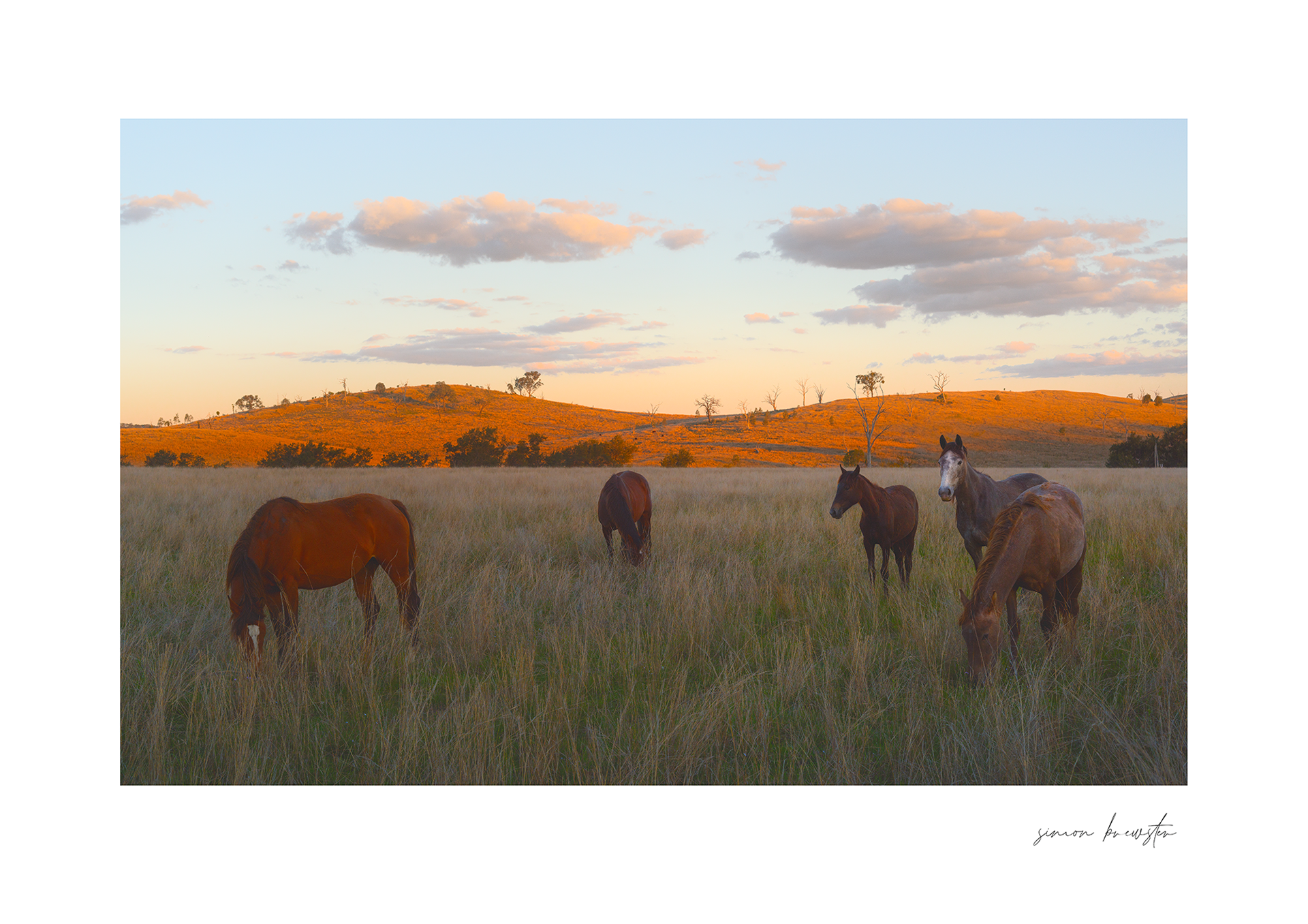 © simon brewster 2025