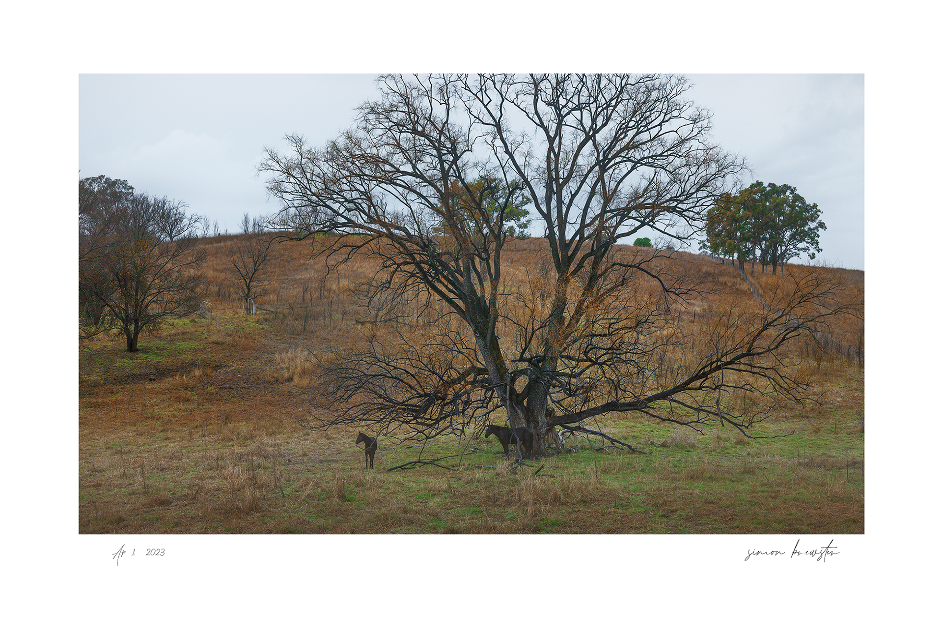 © simon brewster 2025