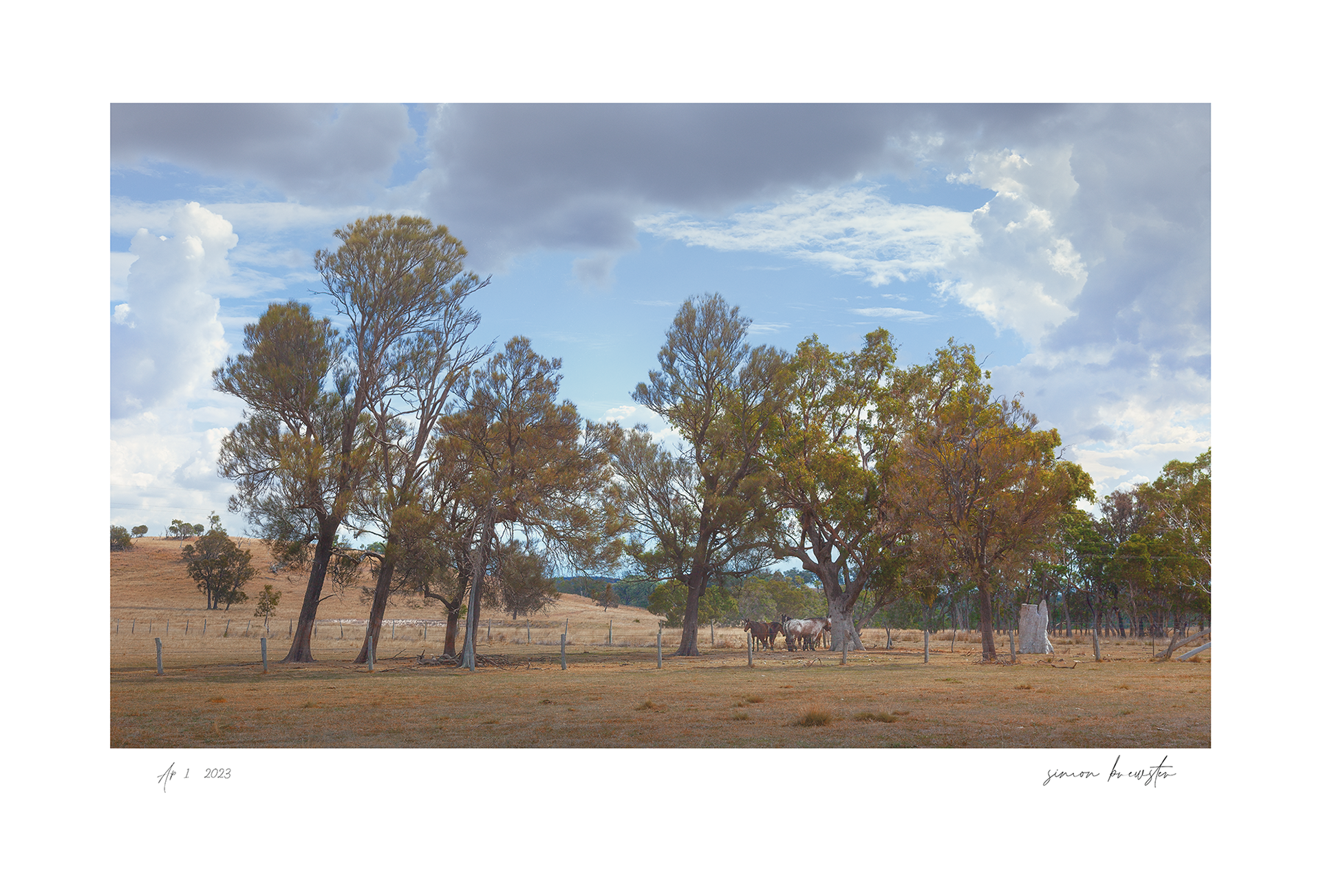 © simon brewster 2025