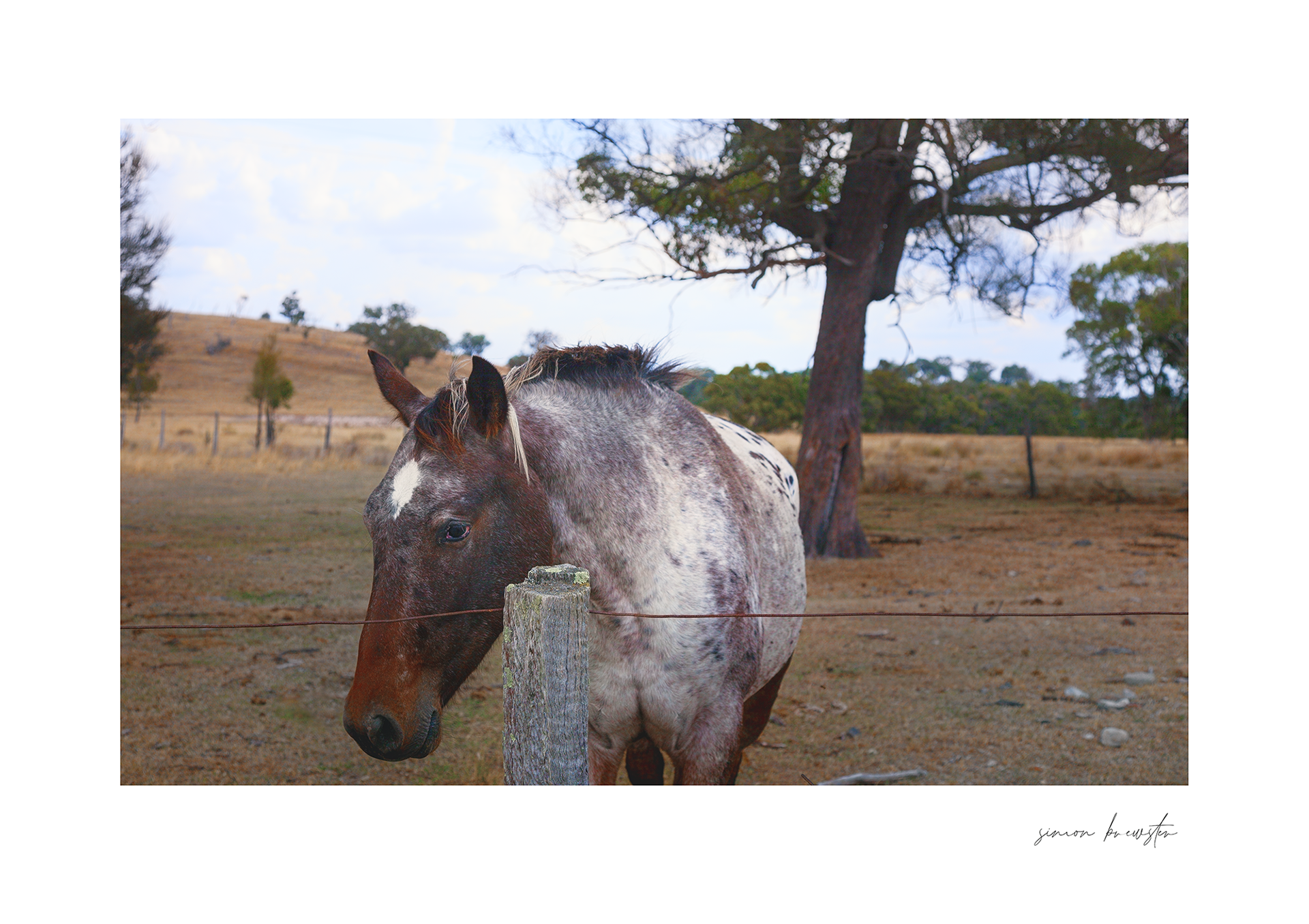 © simon brewster 2025